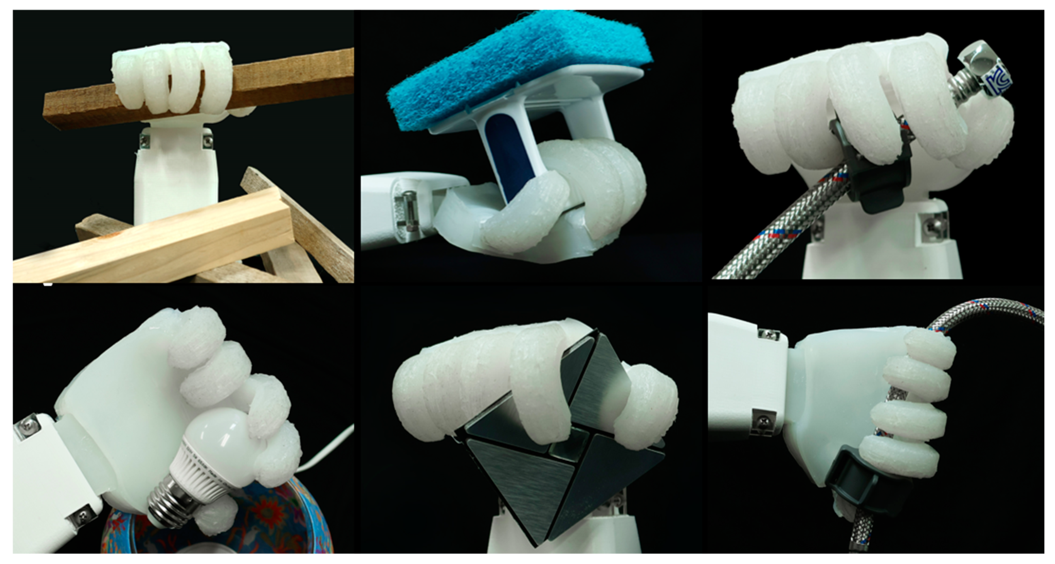 Biomimetics 10 00284 g019