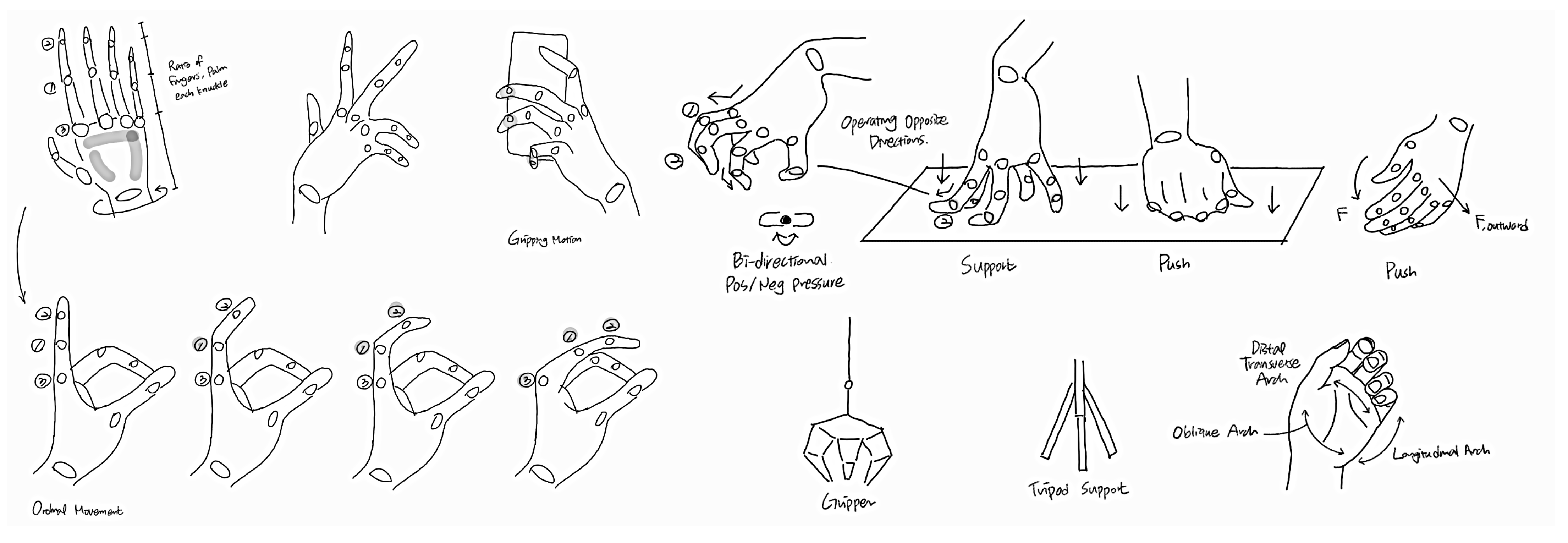 Biomimetics 10 00284 g0a2b