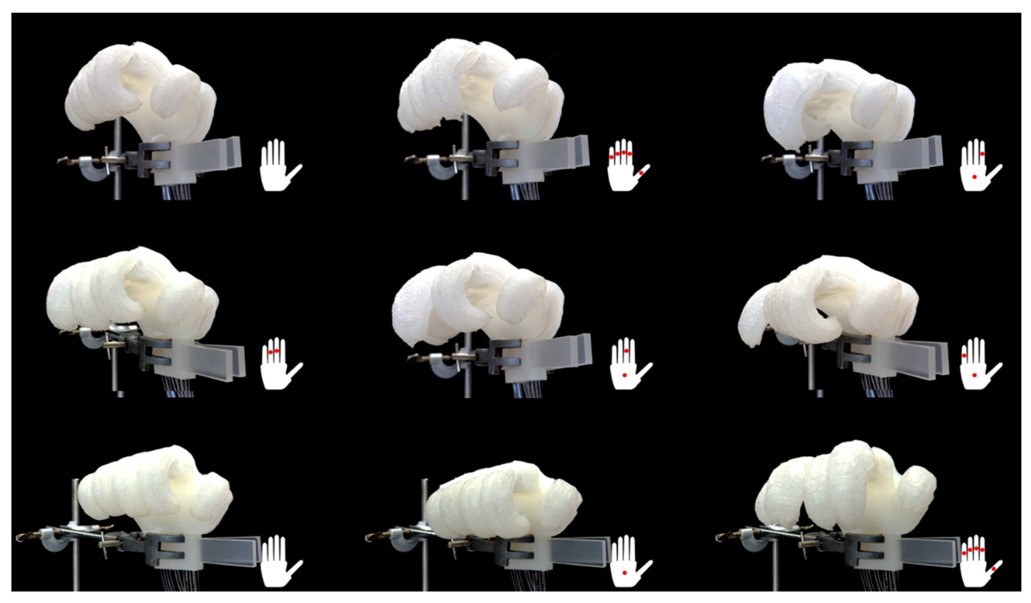 Biomimetics 10 00284 g0a5