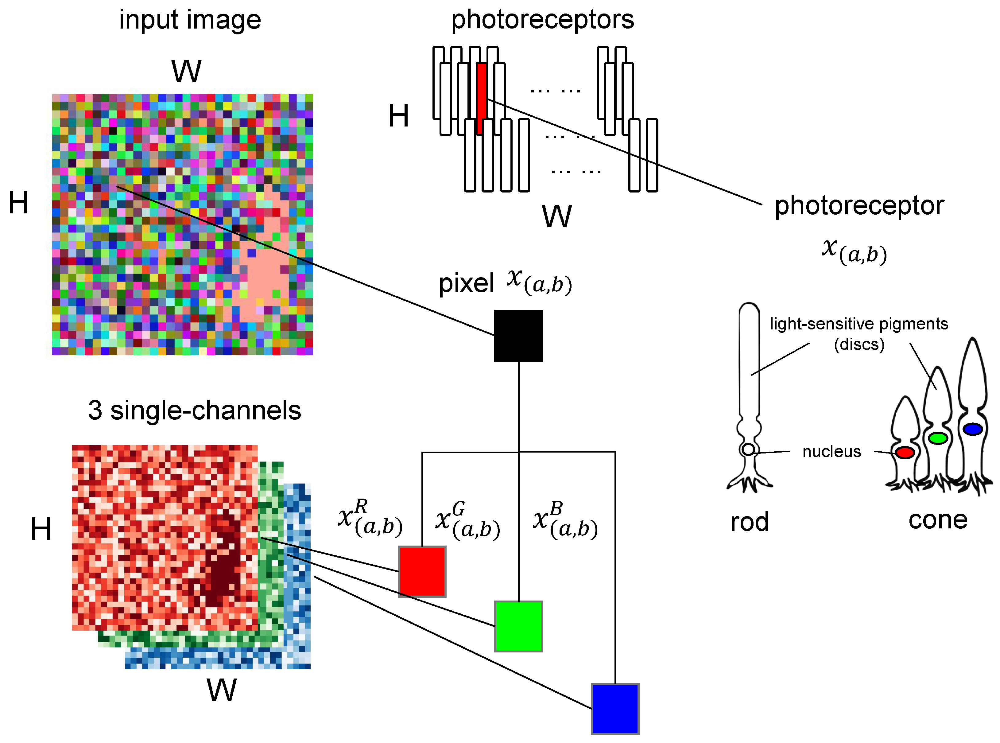 Biomimetics 10 00286 g001
