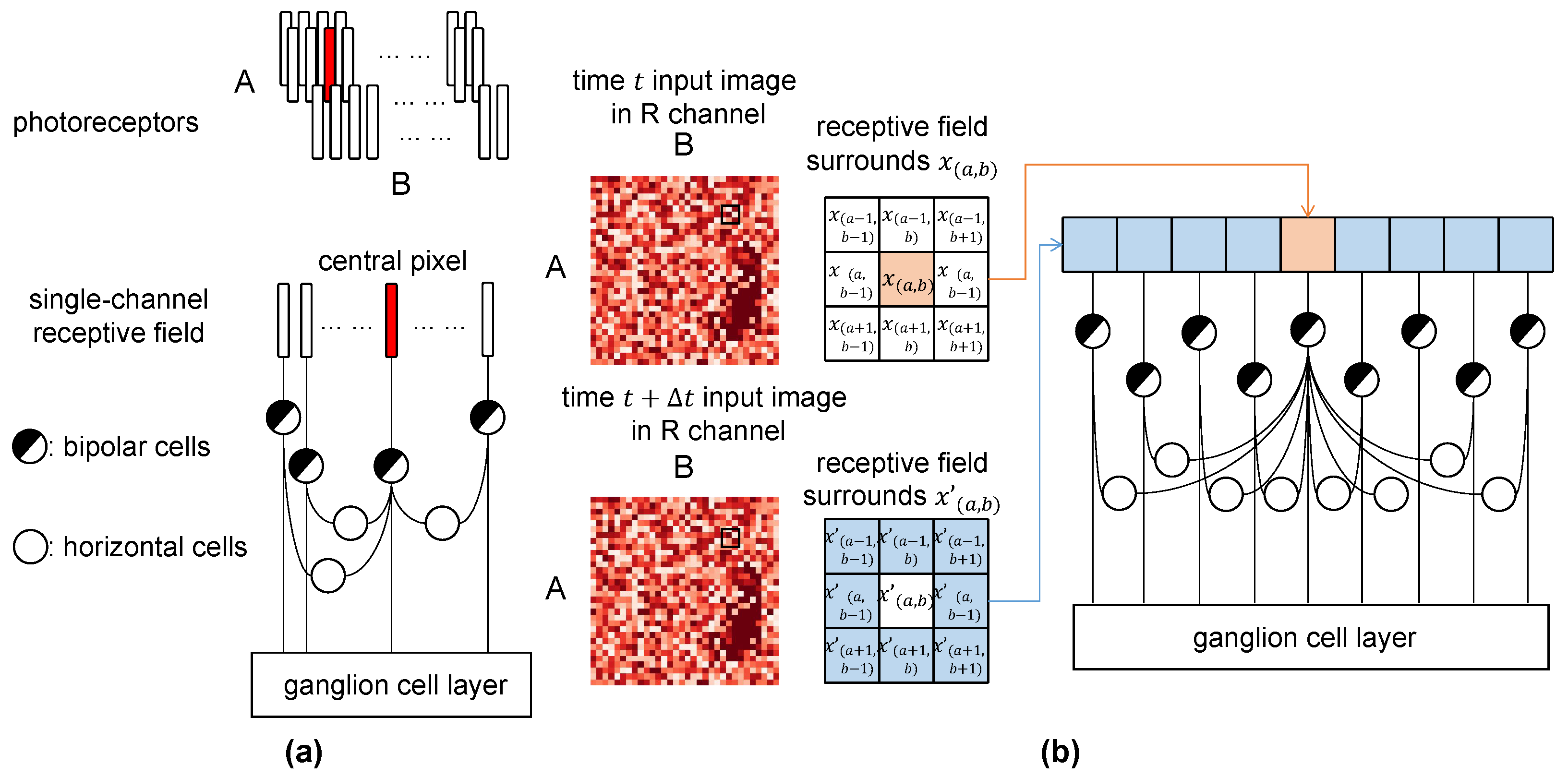 Biomimetics 10 00286 g002