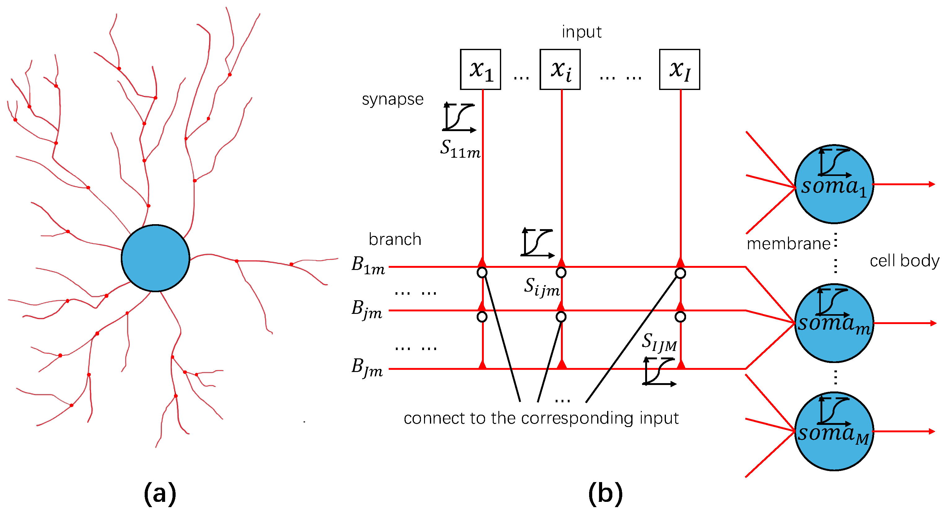 Biomimetics 10 00286 g003