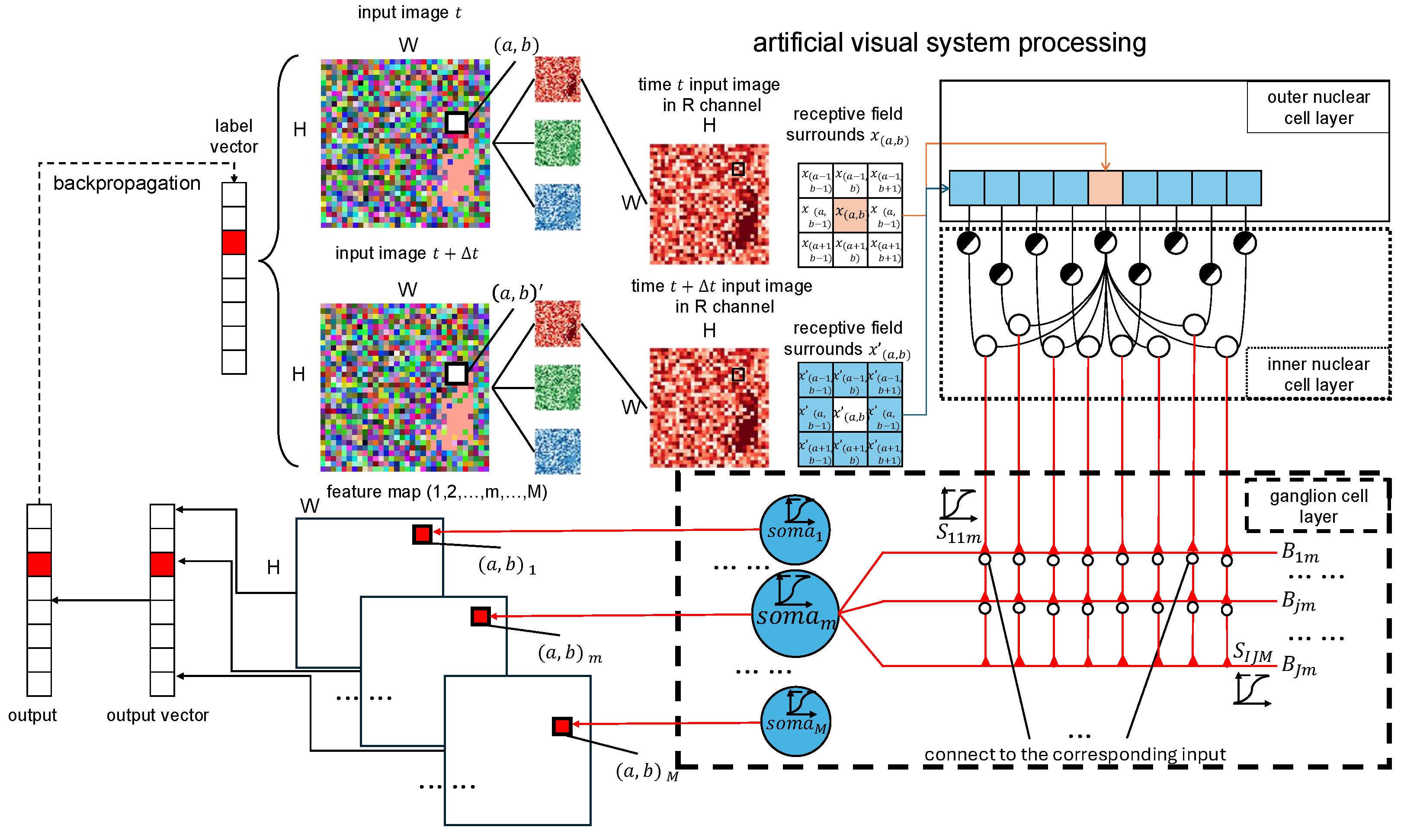 Biomimetics 10 00286 g004
