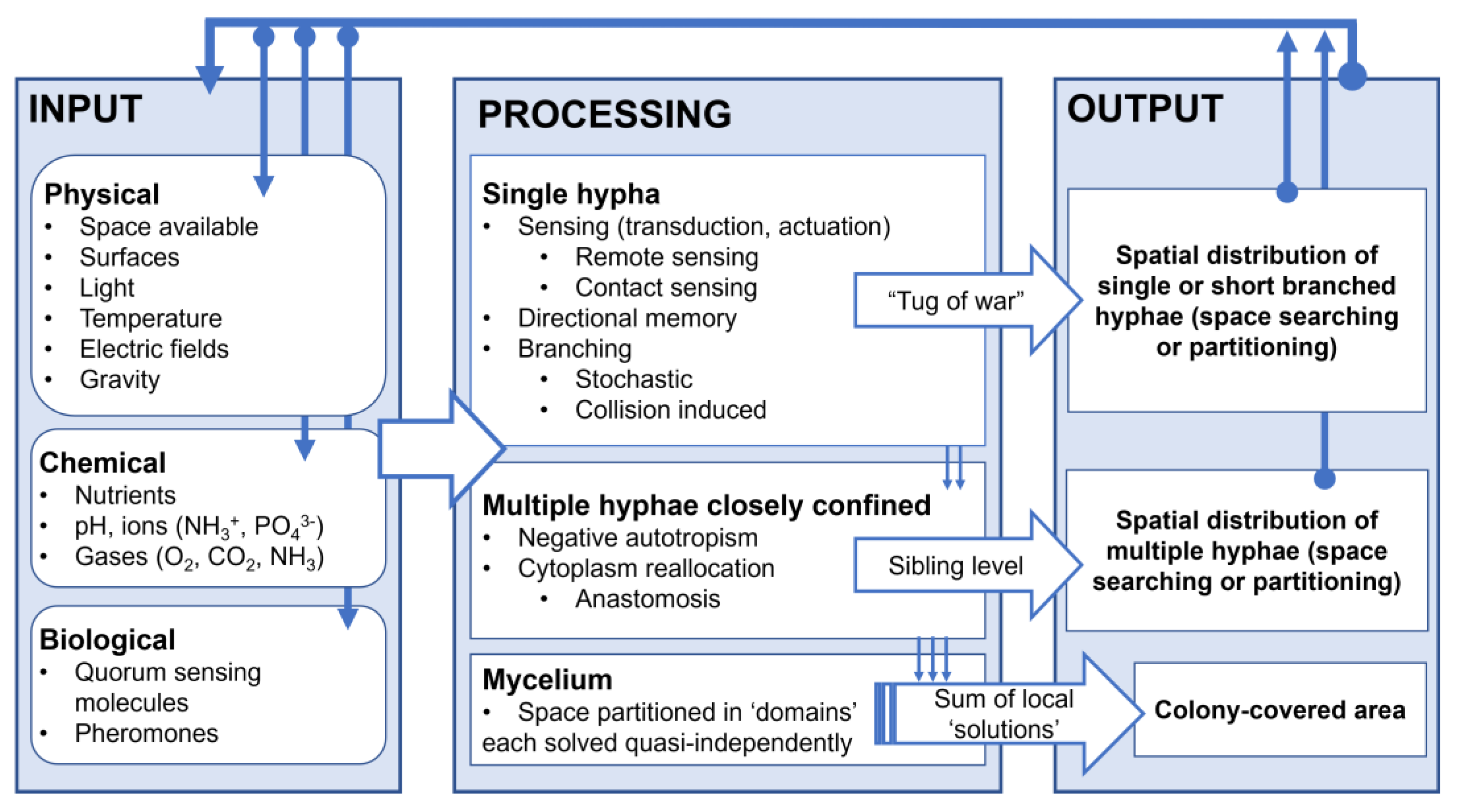 Biomimetics 10 00287 g008