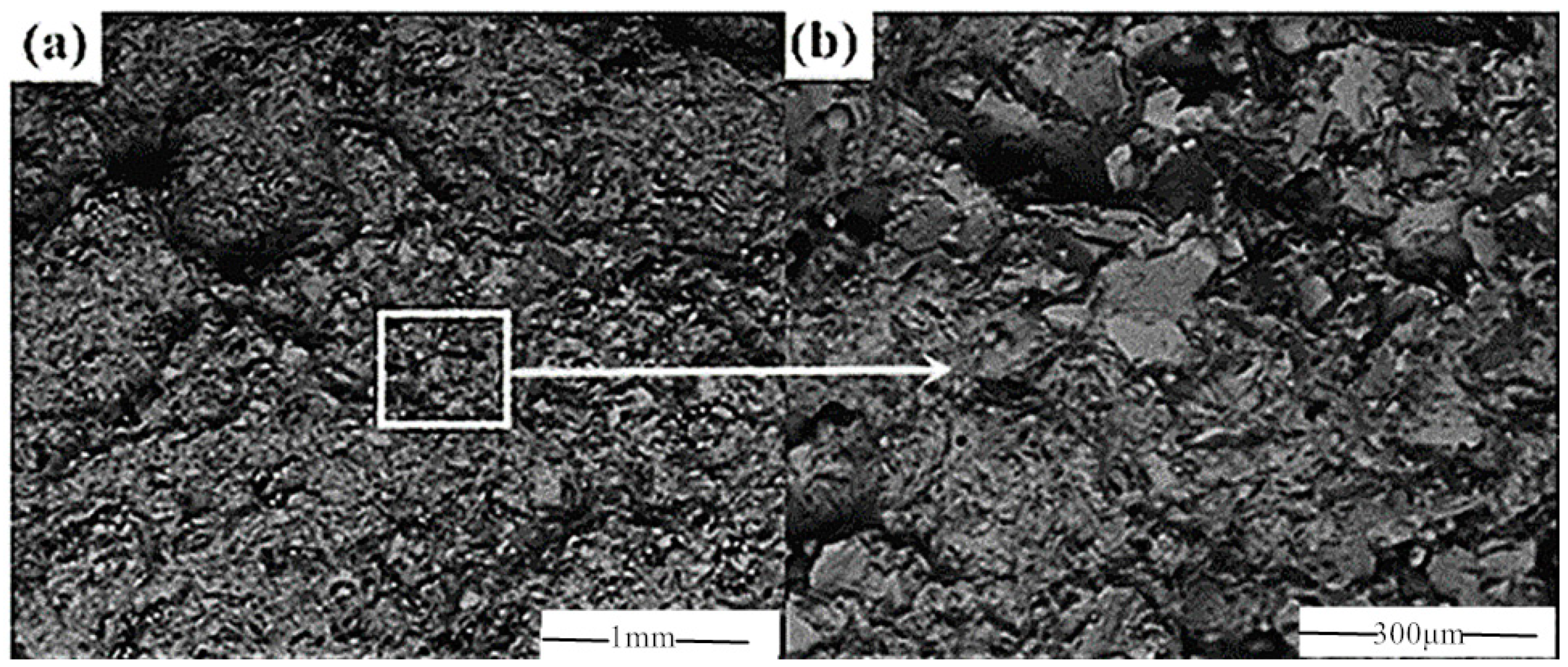 Biomimetics 10 00292 g003