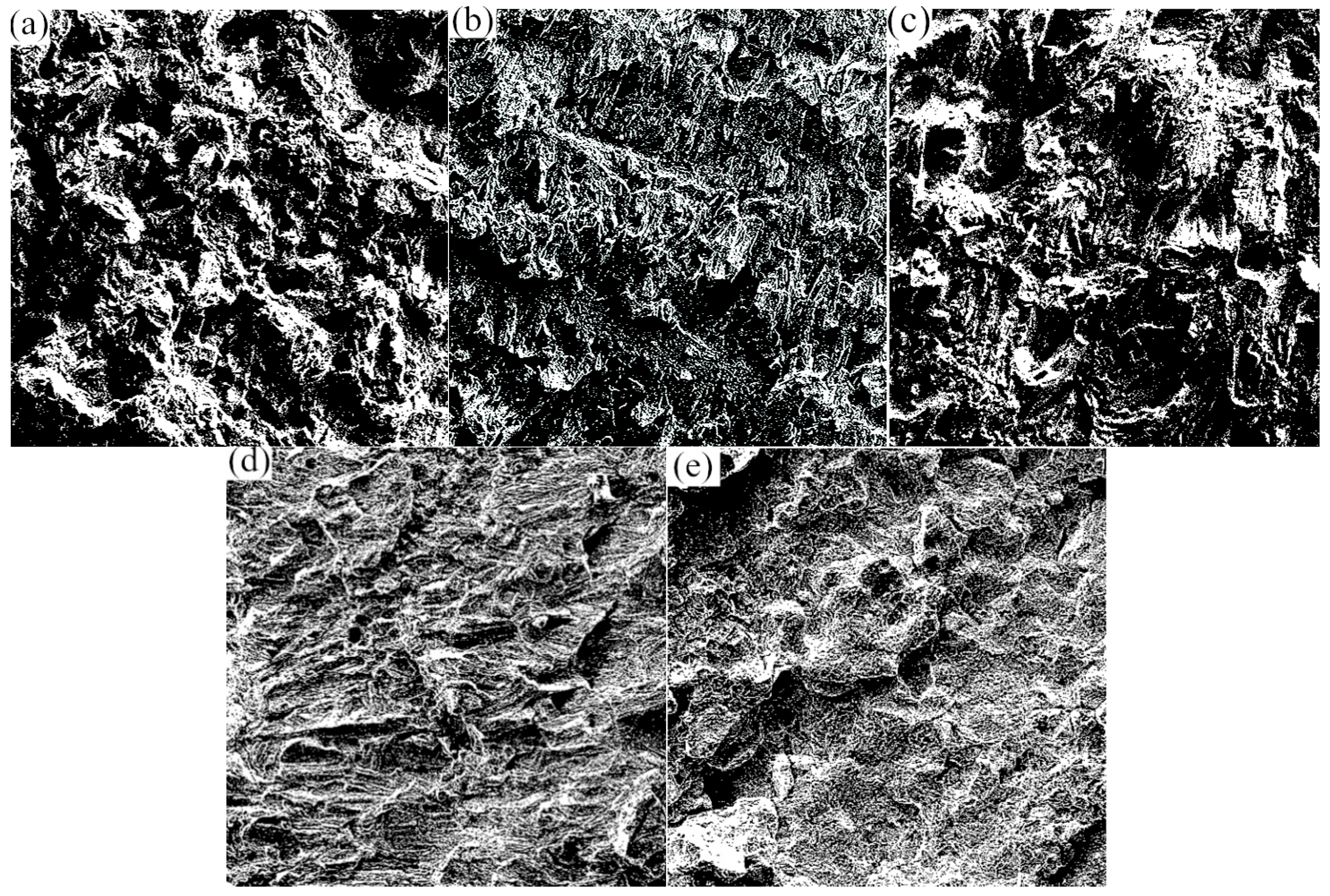 Biomimetics 10 00292 g008