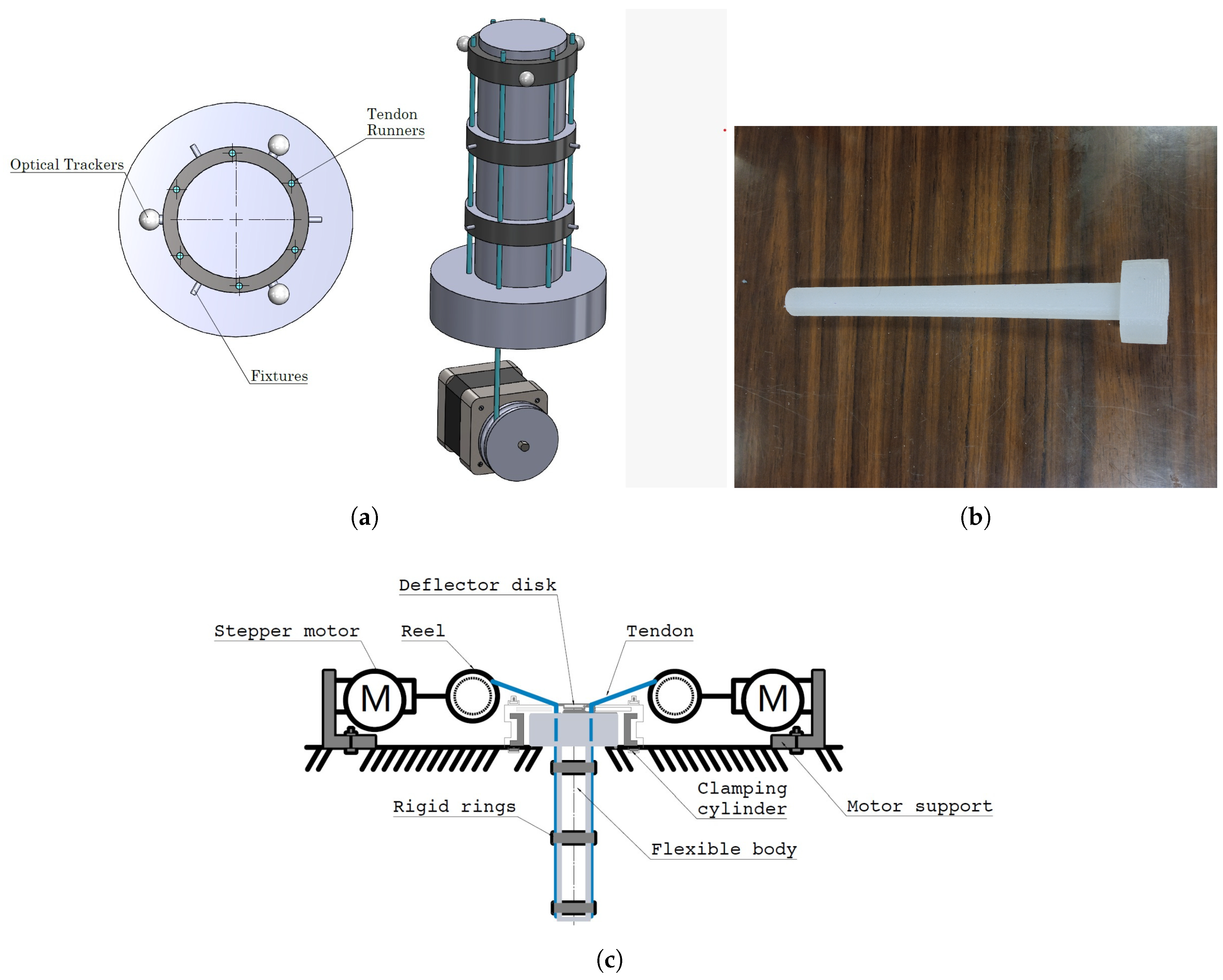 Biomimetics 10 00294 g001