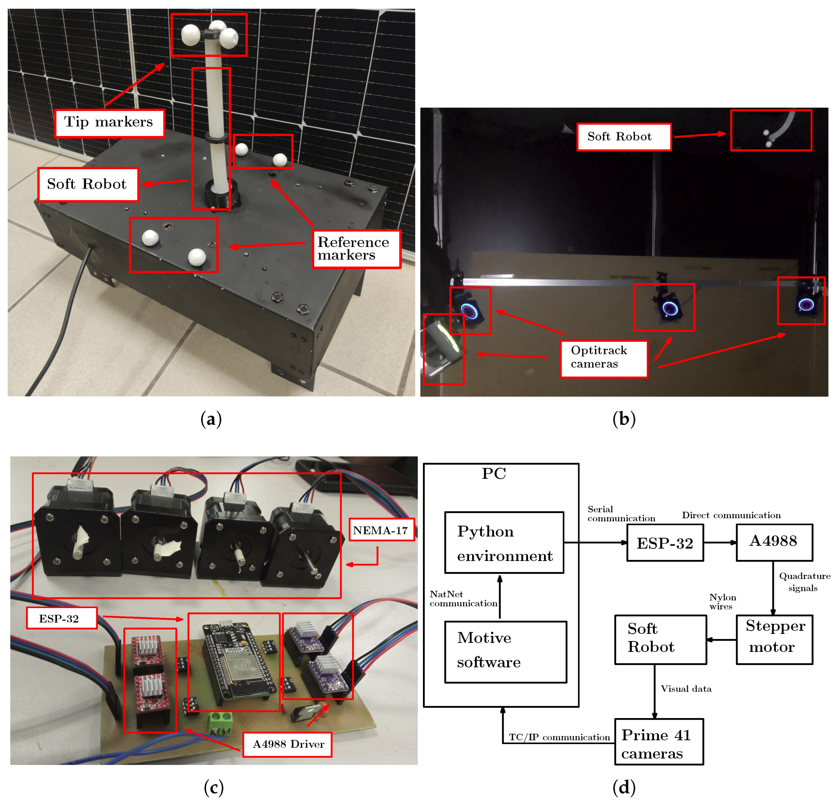 Biomimetics 10 00294 g002