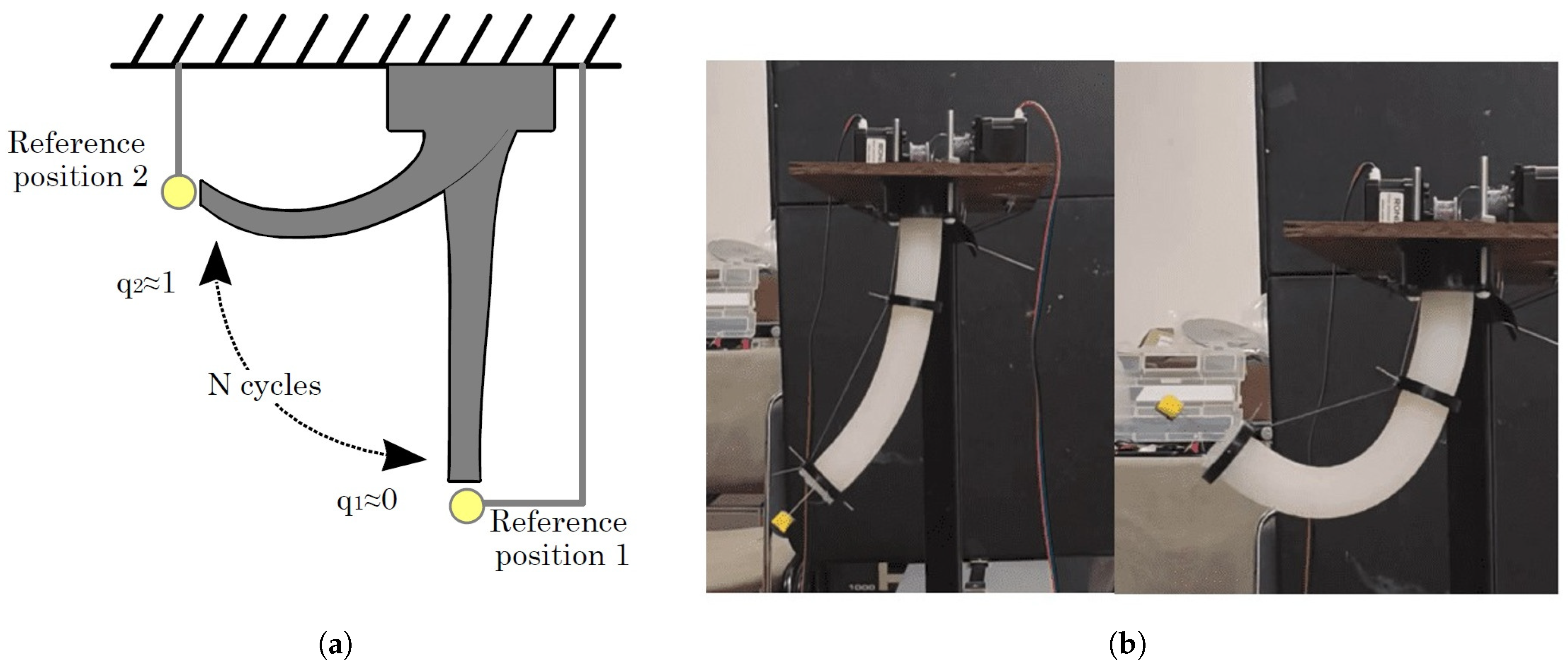 Biomimetics 10 00294 g004