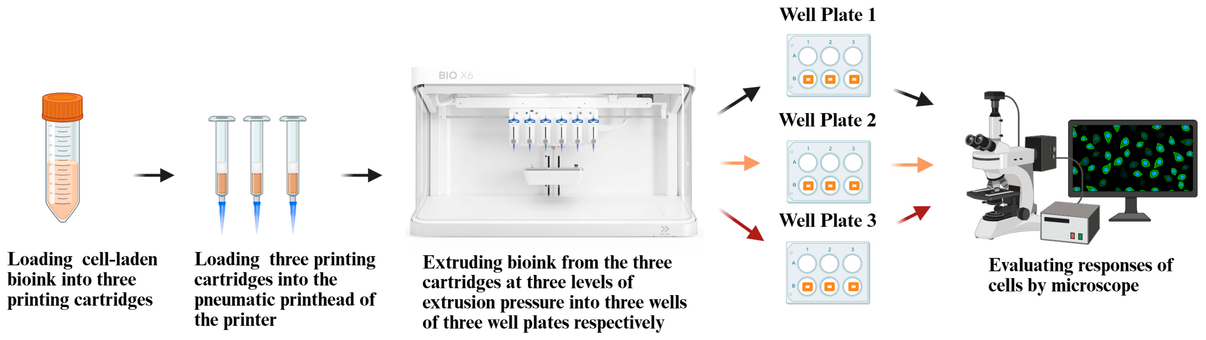 Biomimetics 10 00297 g001
