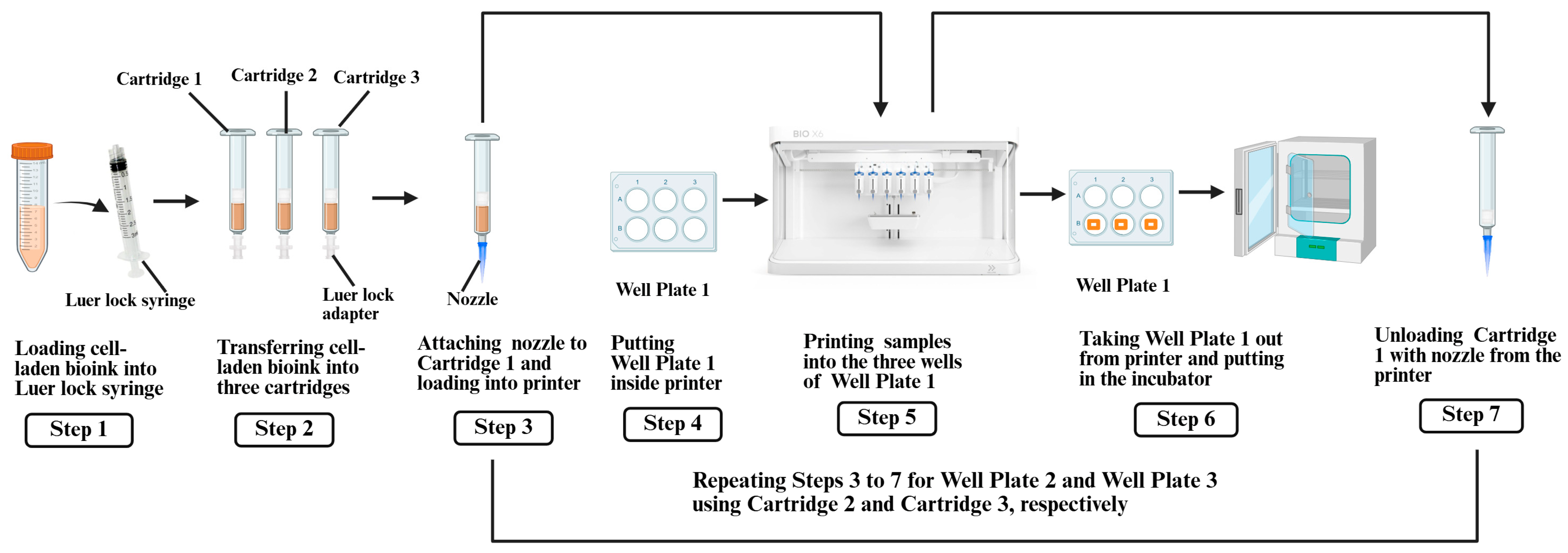 Biomimetics 10 00297 g002