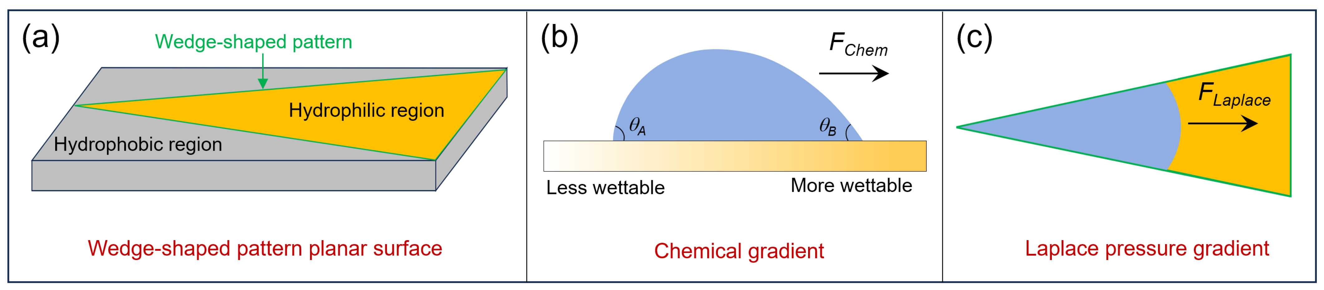 Biomimetics 10 00298 g002