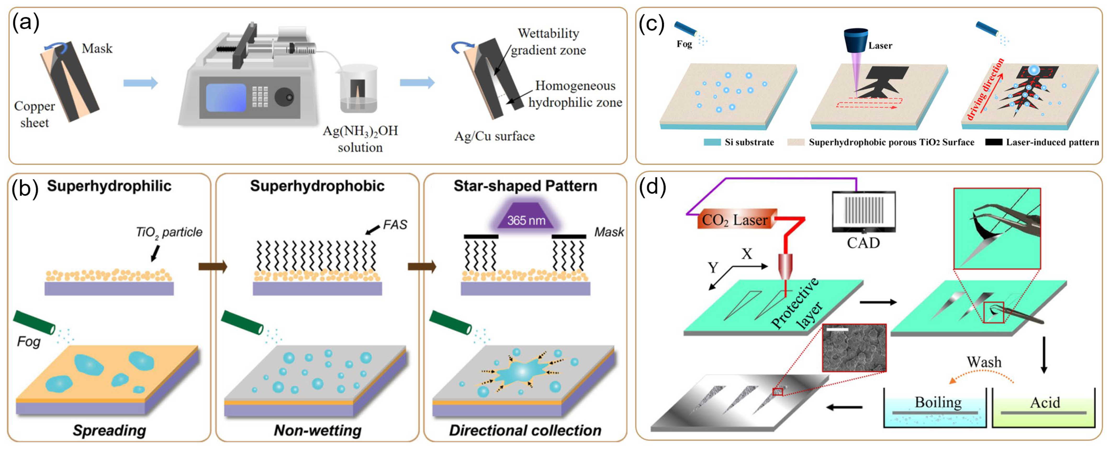 Biomimetics 10 00298 g003