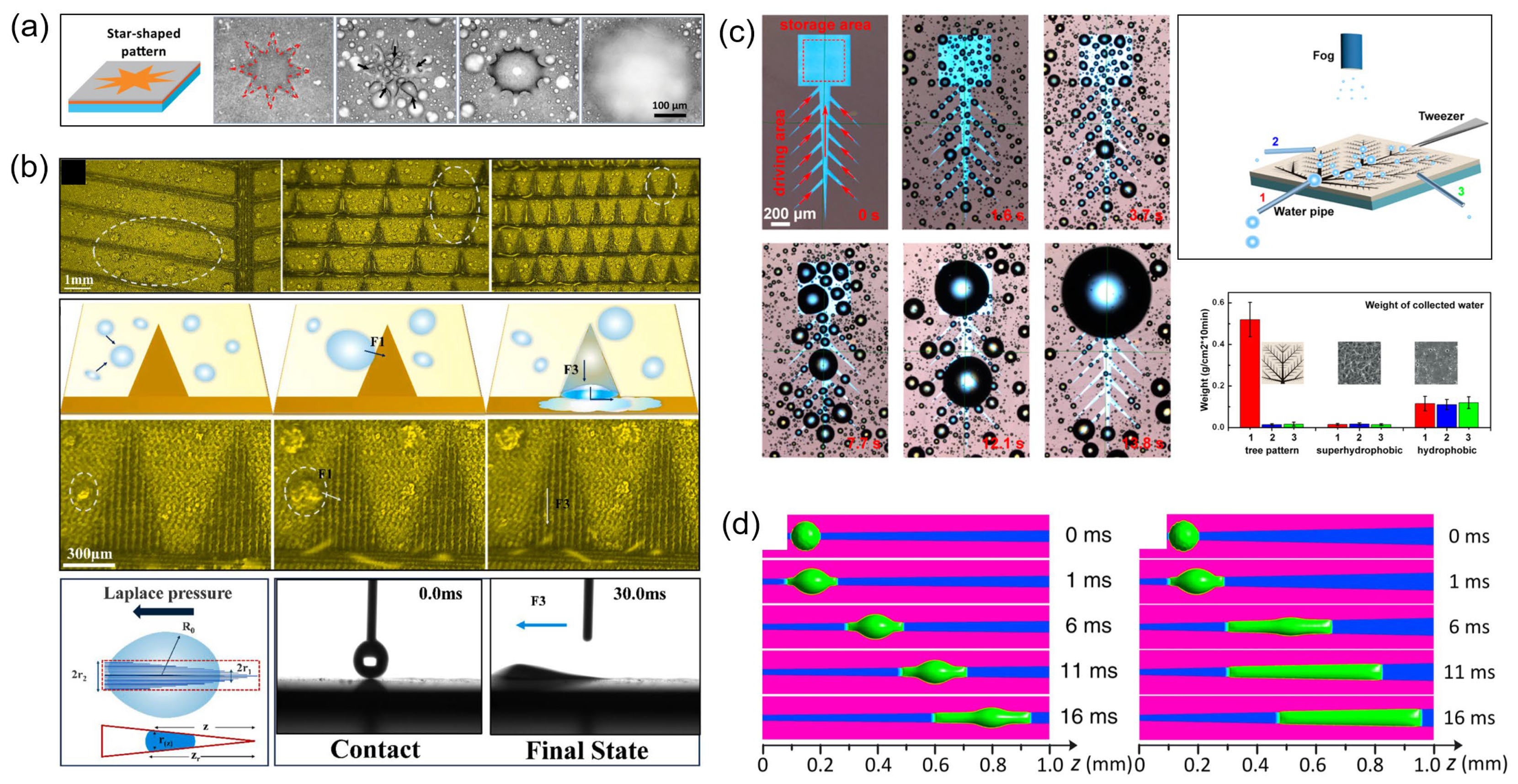 Biomimetics 10 00298 g004