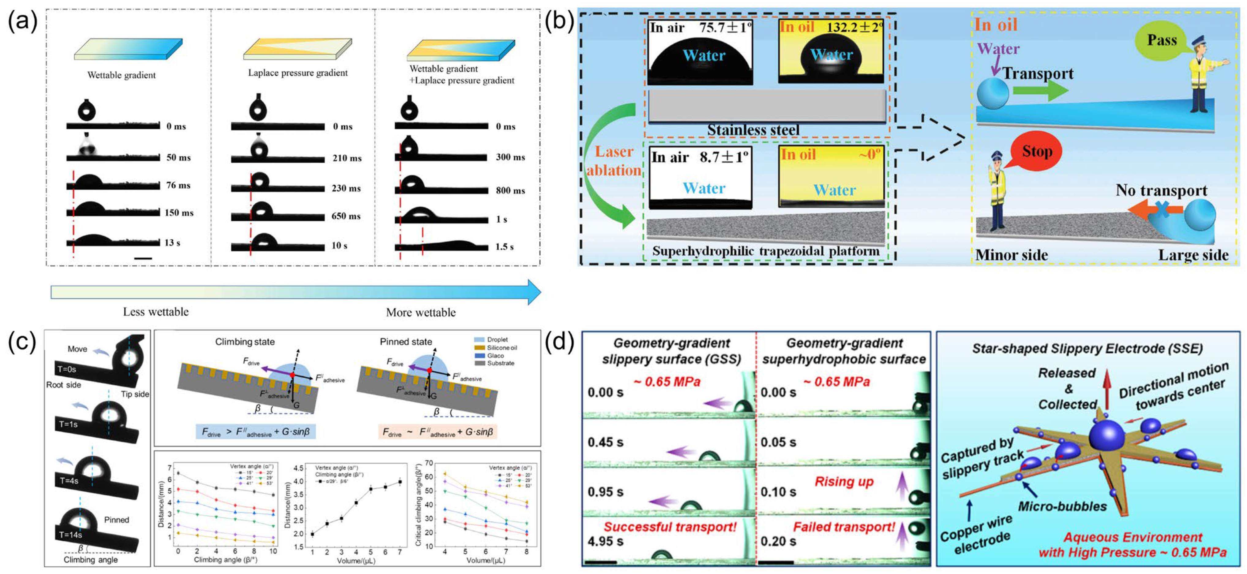 Biomimetics 10 00298 g006