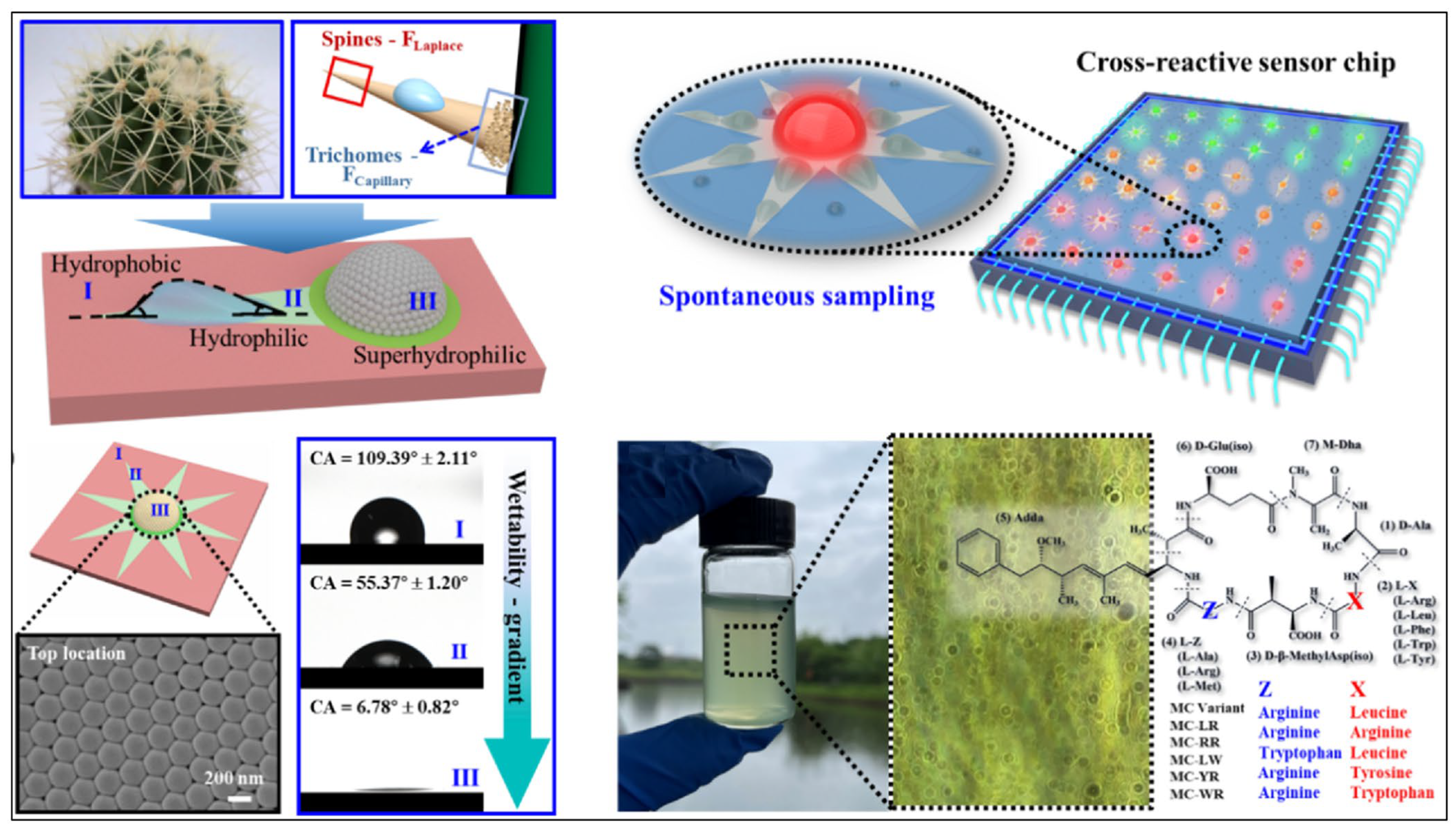 Biomimetics 10 00298 g008