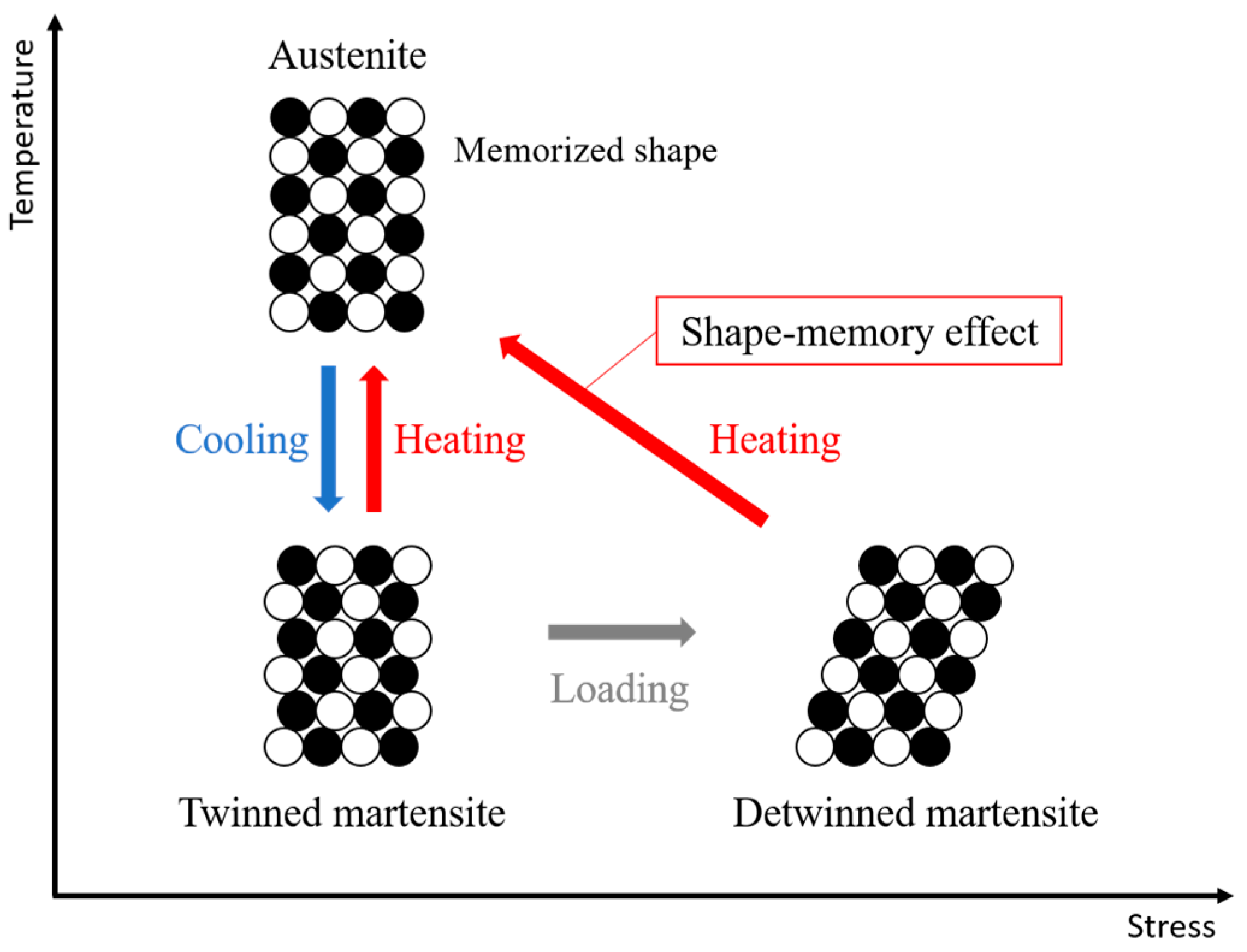 Biomimetics 10 00300 g006
