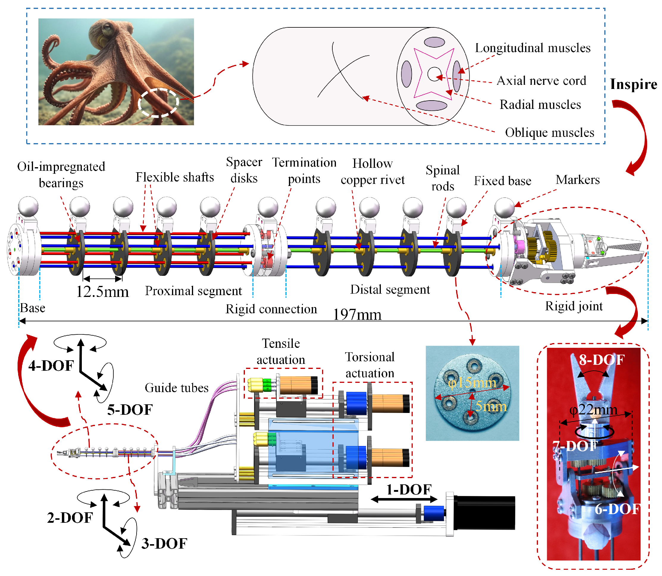Biomimetics 10 00301 g001