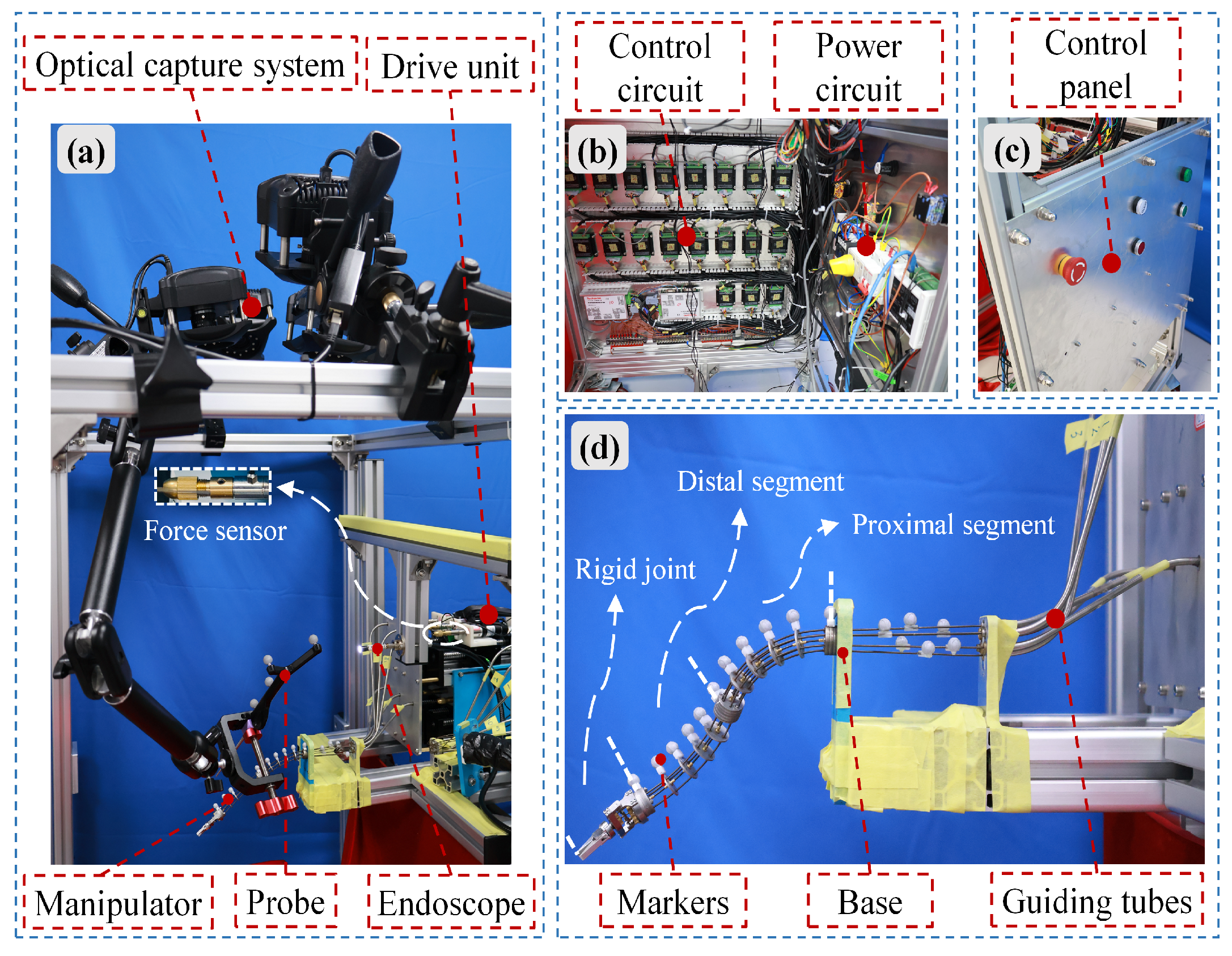 Biomimetics 10 00301 g005