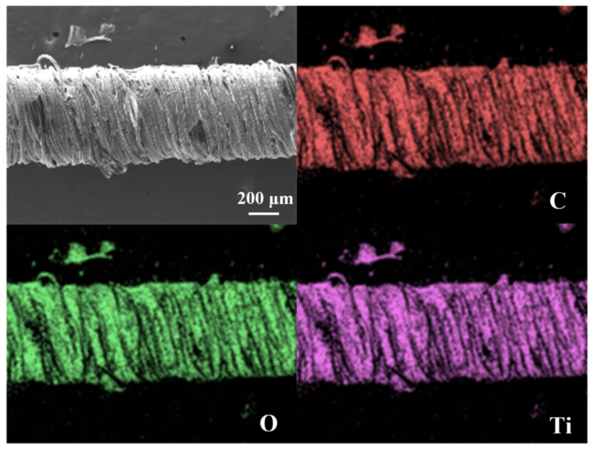 Biomimetics 10 00304 g003