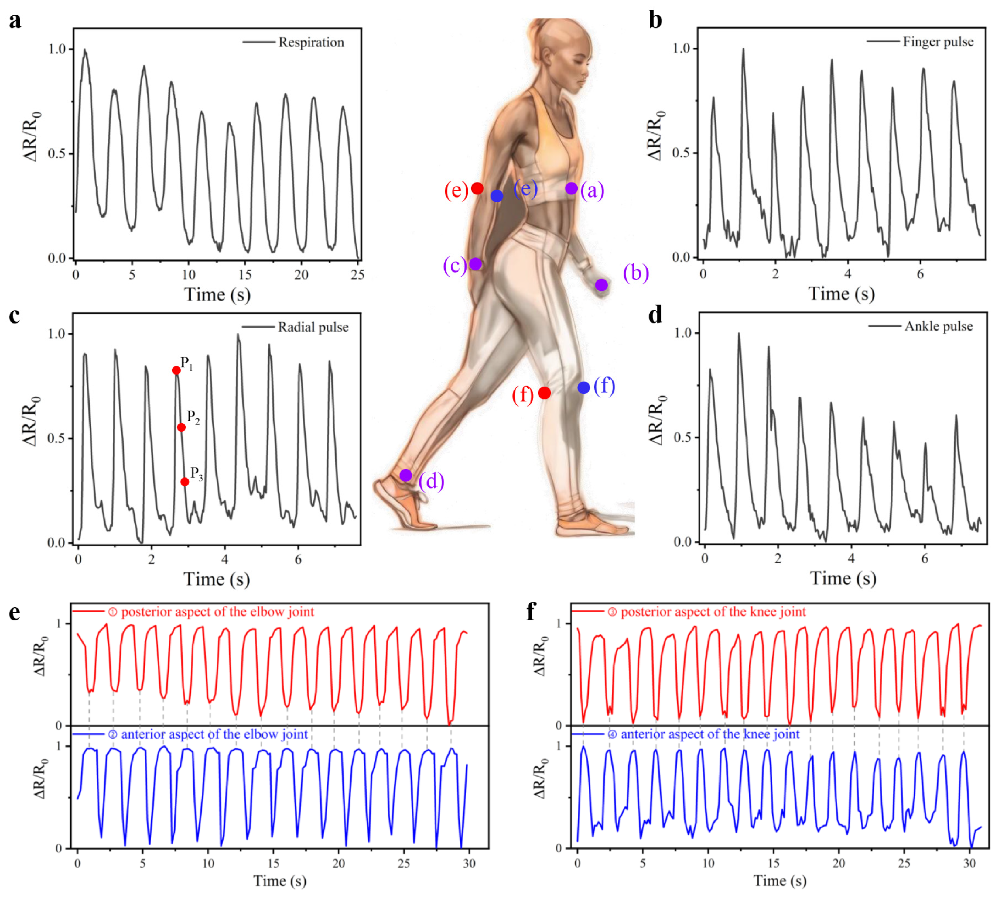Biomimetics 10 00304 g006