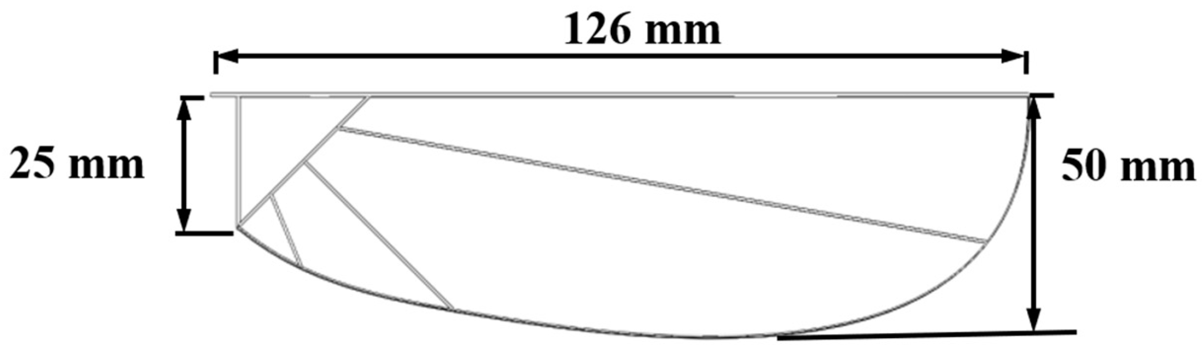 Biomimetics 10 00309 g002