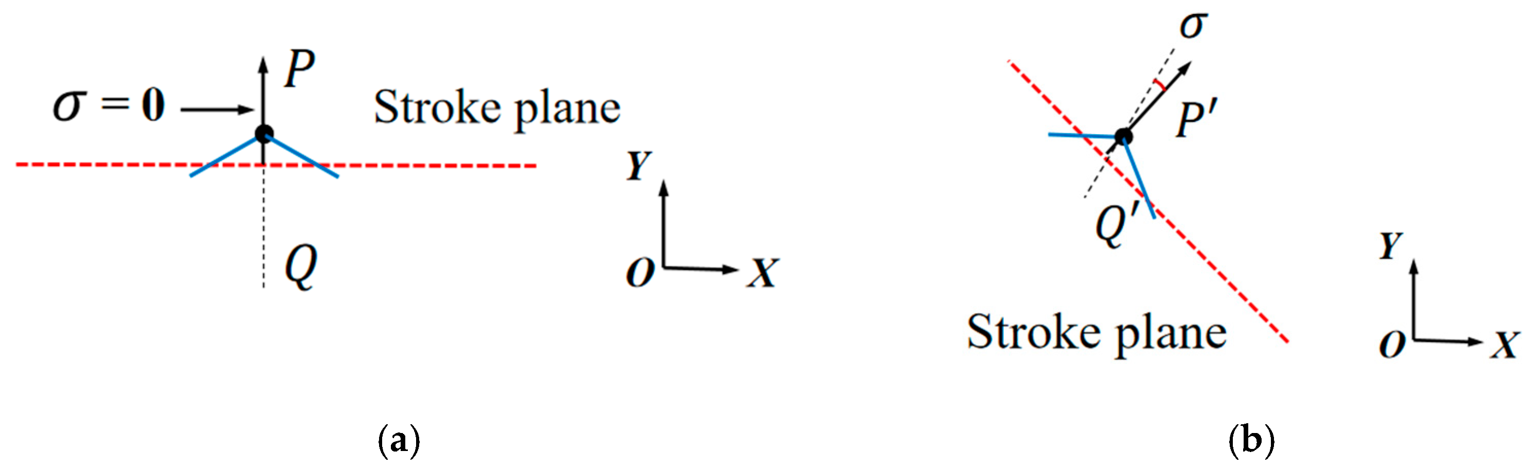 Biomimetics 10 00309 g005