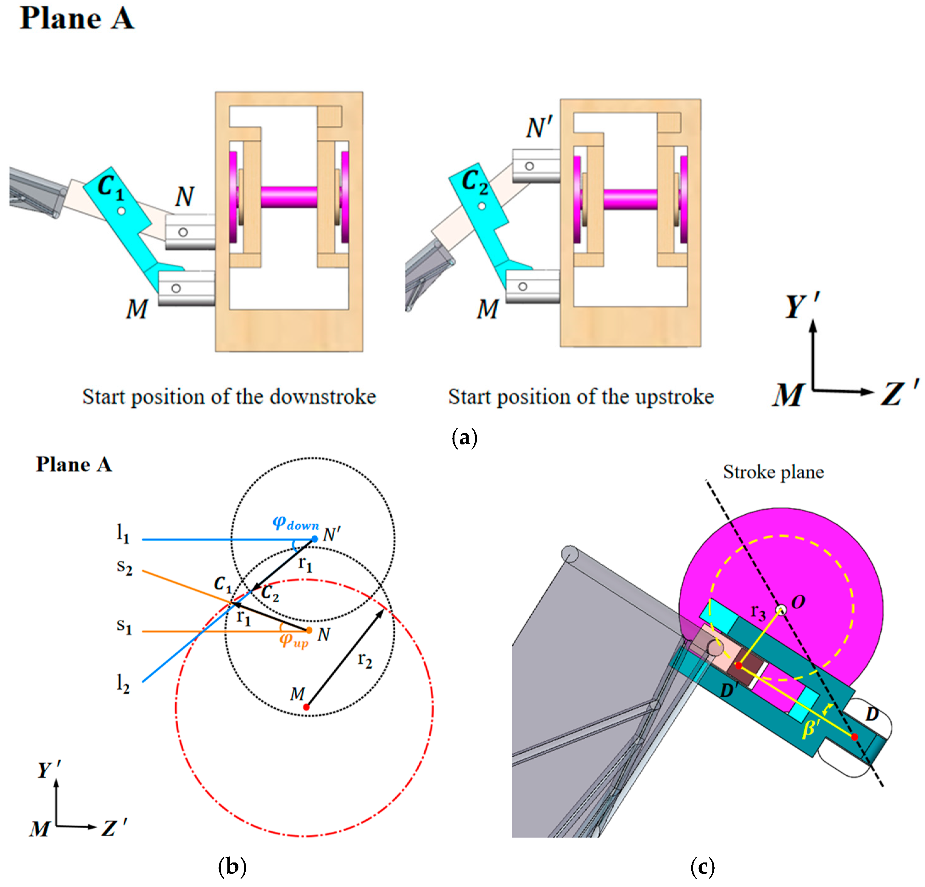 Biomimetics 10 00309 g008