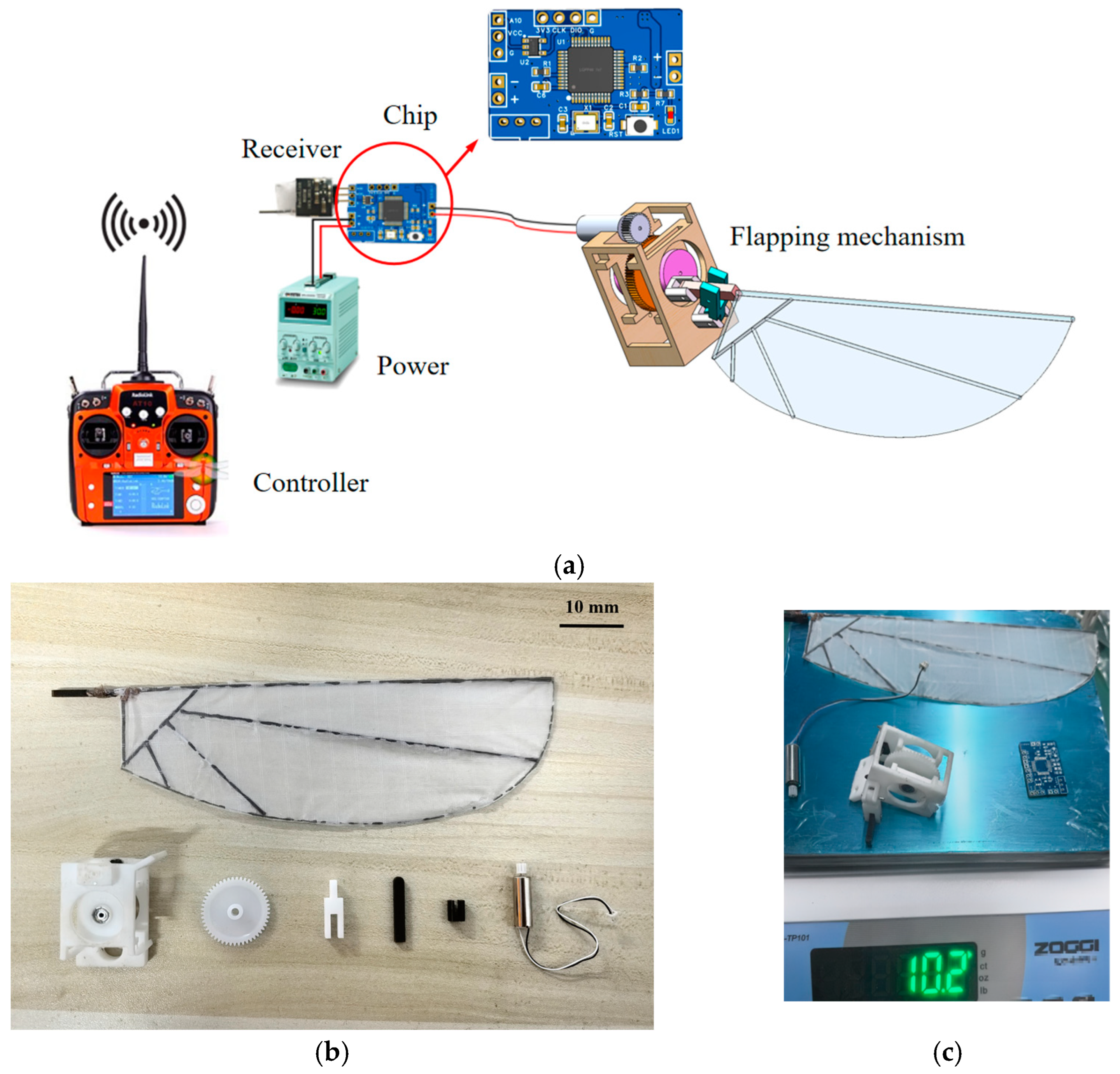 Biomimetics 10 00309 g010