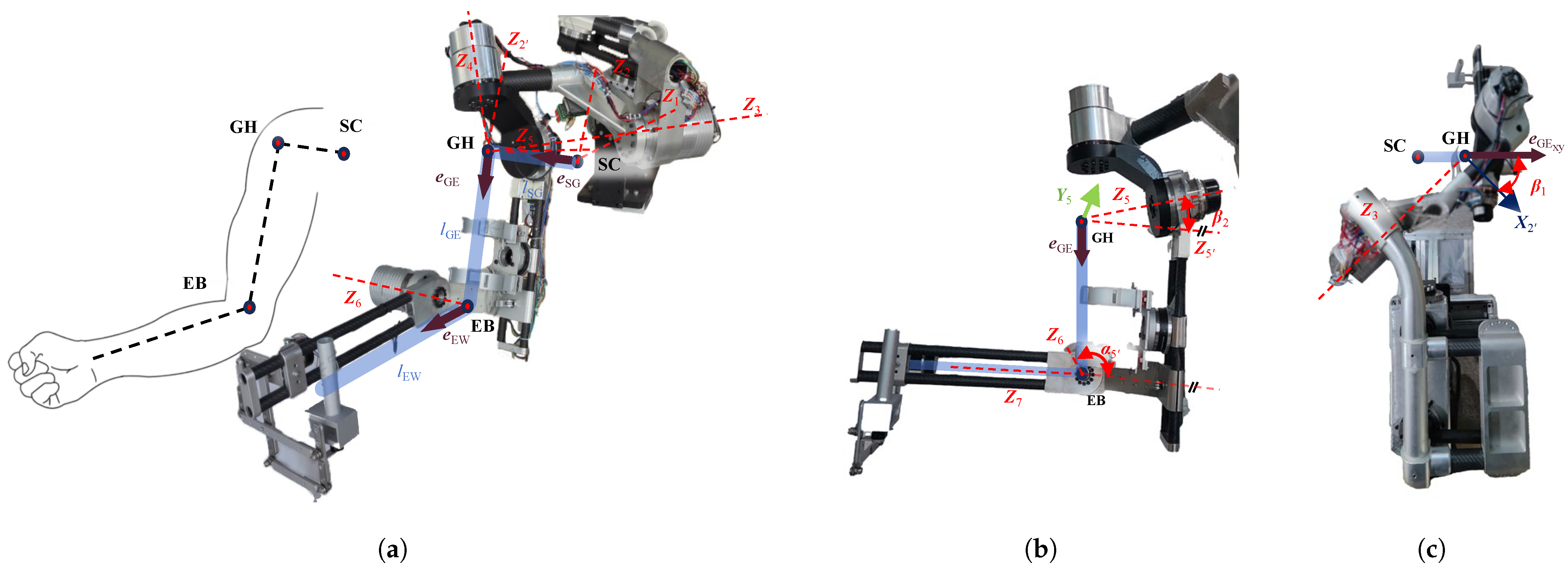 Biomimetics 10 00312 g001