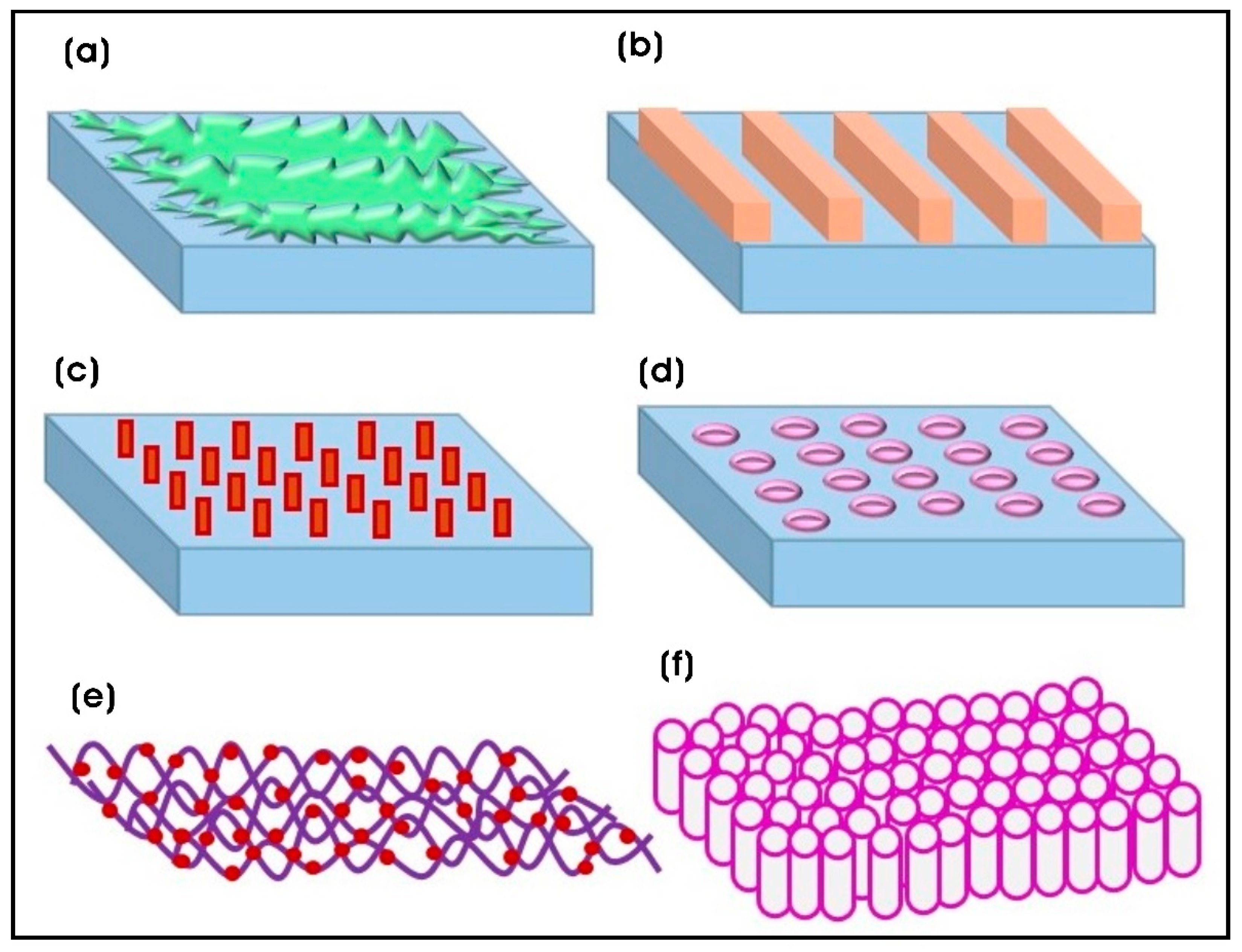 Biomimetics 10 00317 g001 Biomimetics 10 00317 g001