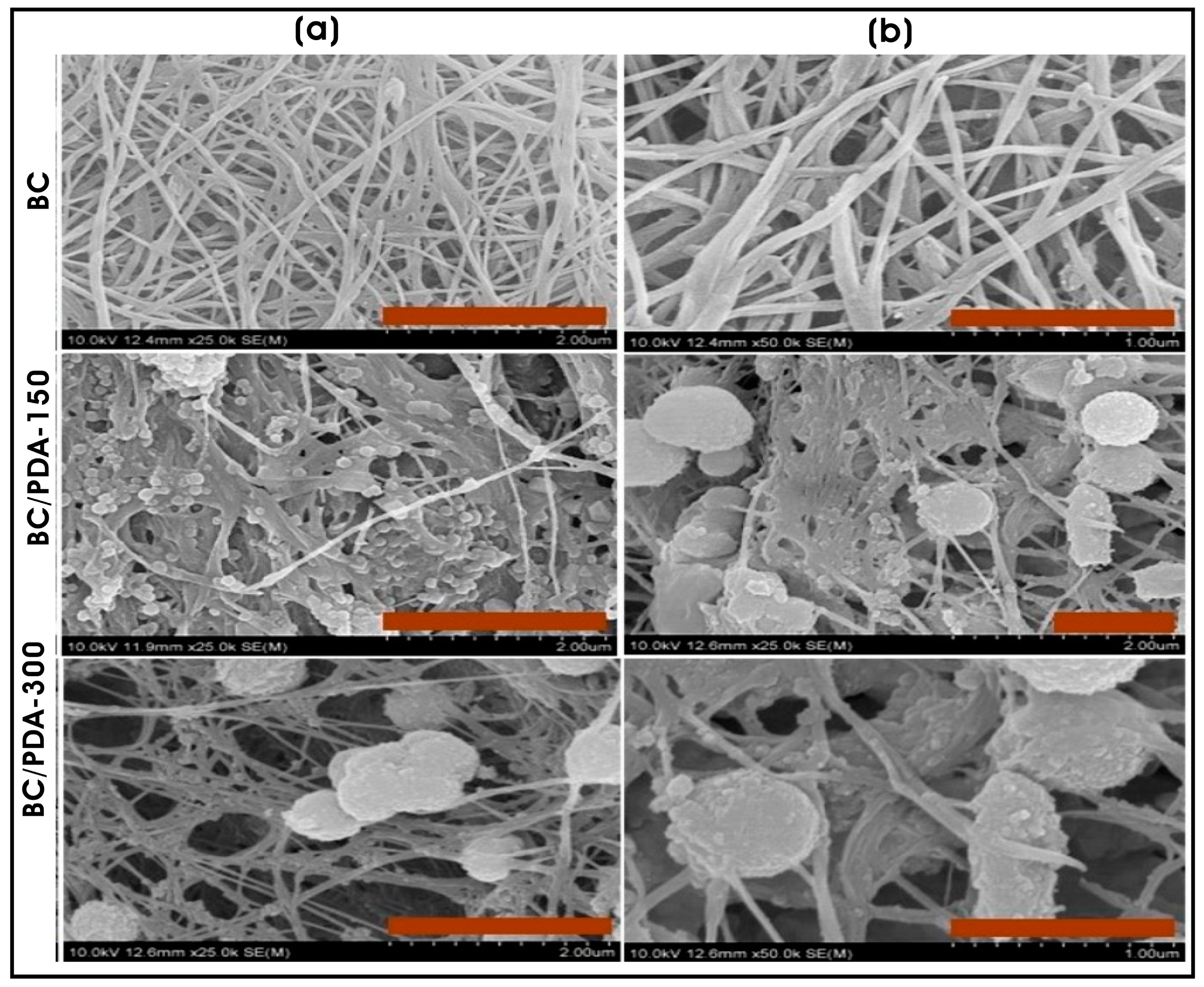 Biomimetics 10 00317 g003 Biomimetics 10 00317 g003