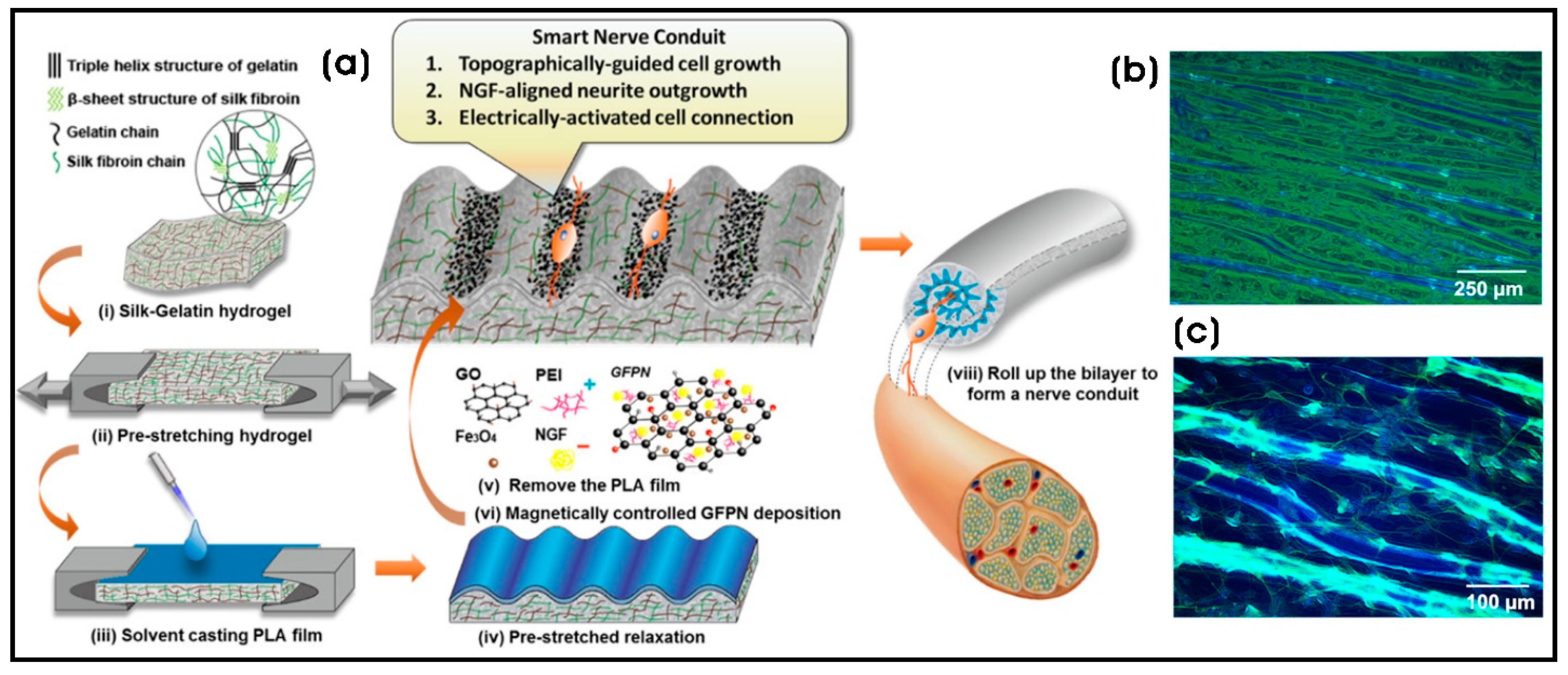 Biomimetics 10 00317 g005 Biomimetics 10 00317 g005