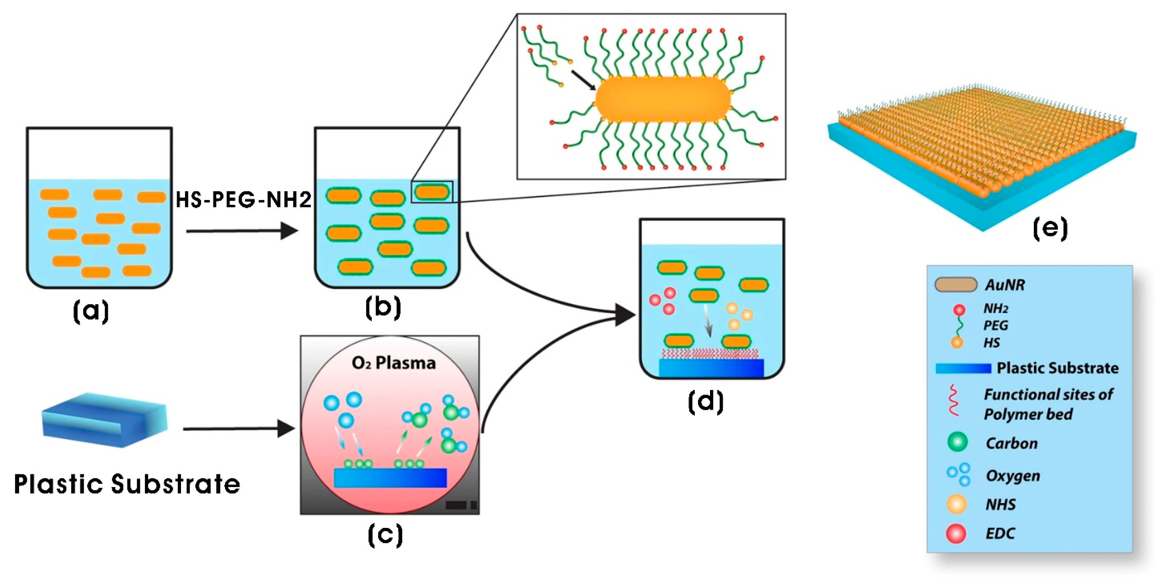 Biomimetics 10 00317 g007 Biomimetics 10 00317 g007