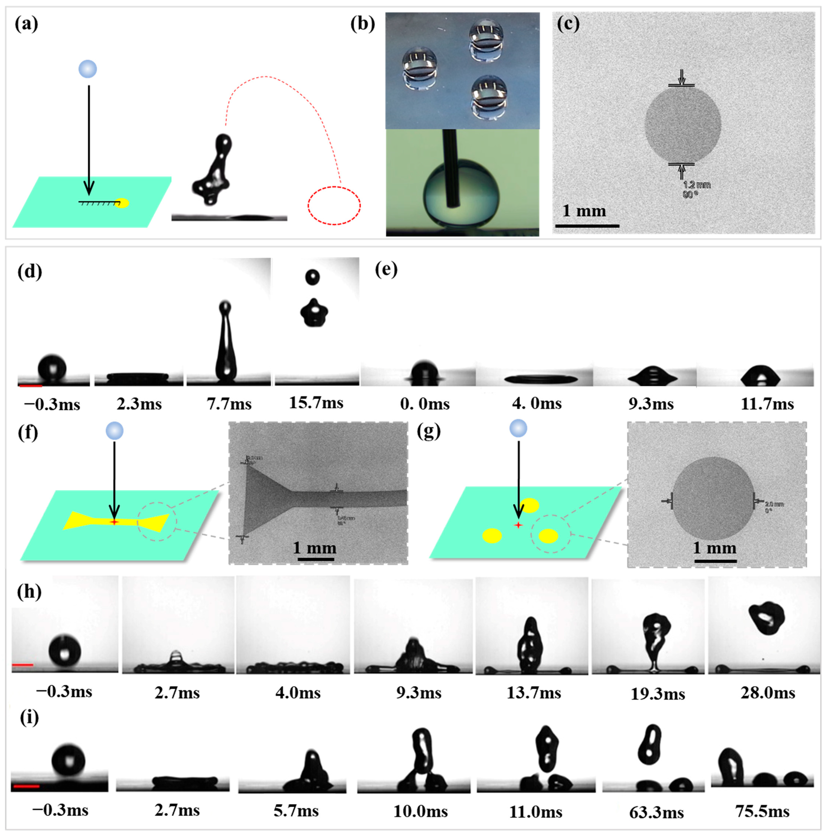 Biomimetics 10 00319 g002