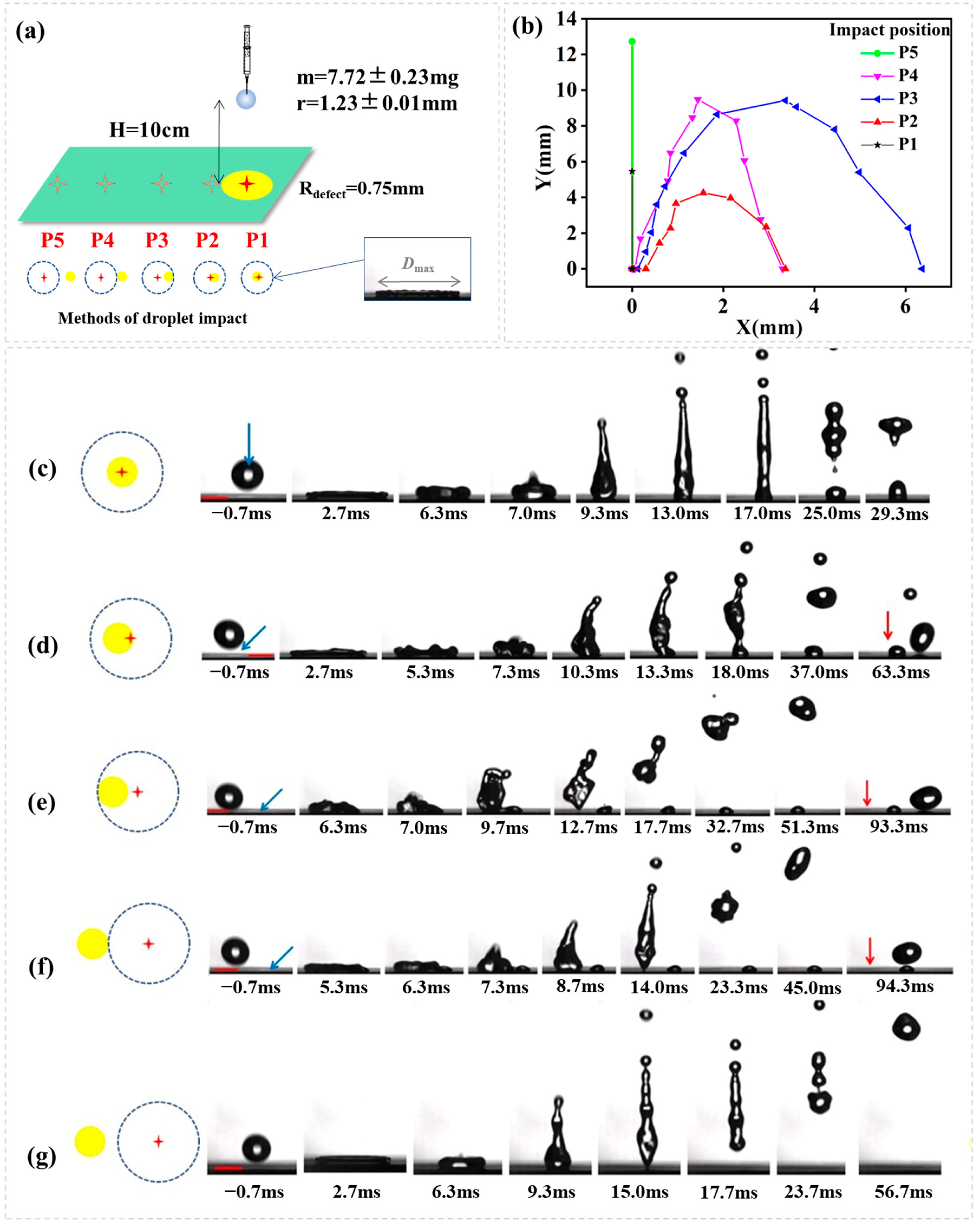 Biomimetics 10 00319 g003