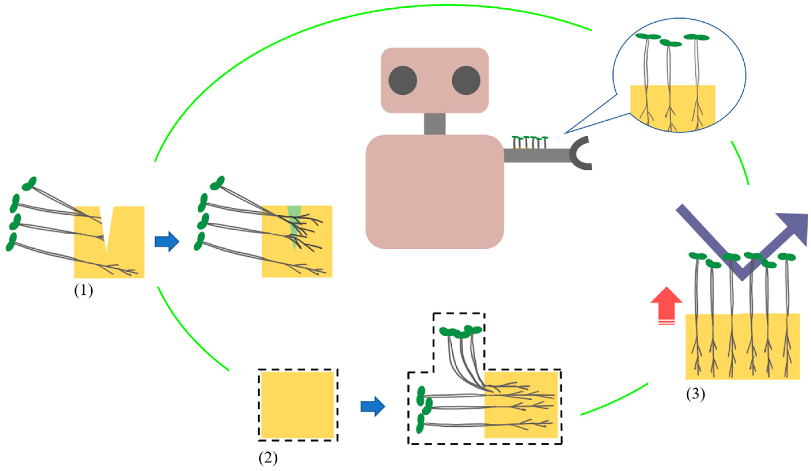 Biomimetics 10 00321 g001