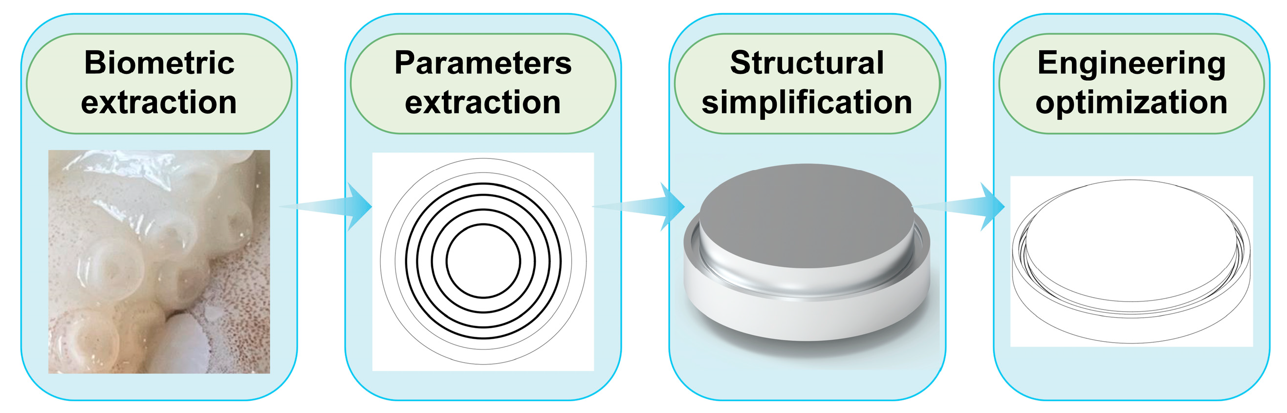 Biomimetics 10 00322 g002