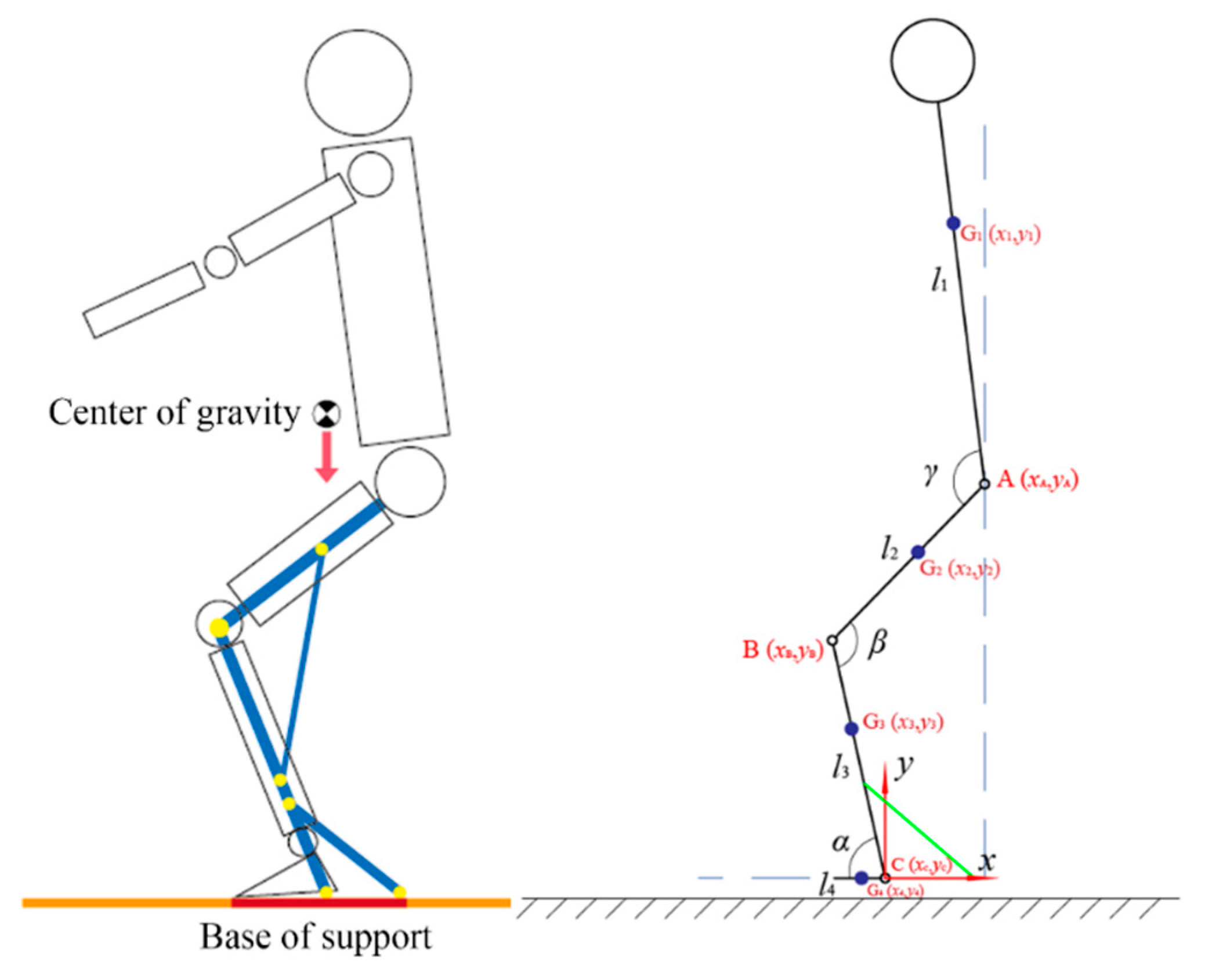 Biomimetics 10 00330 g005