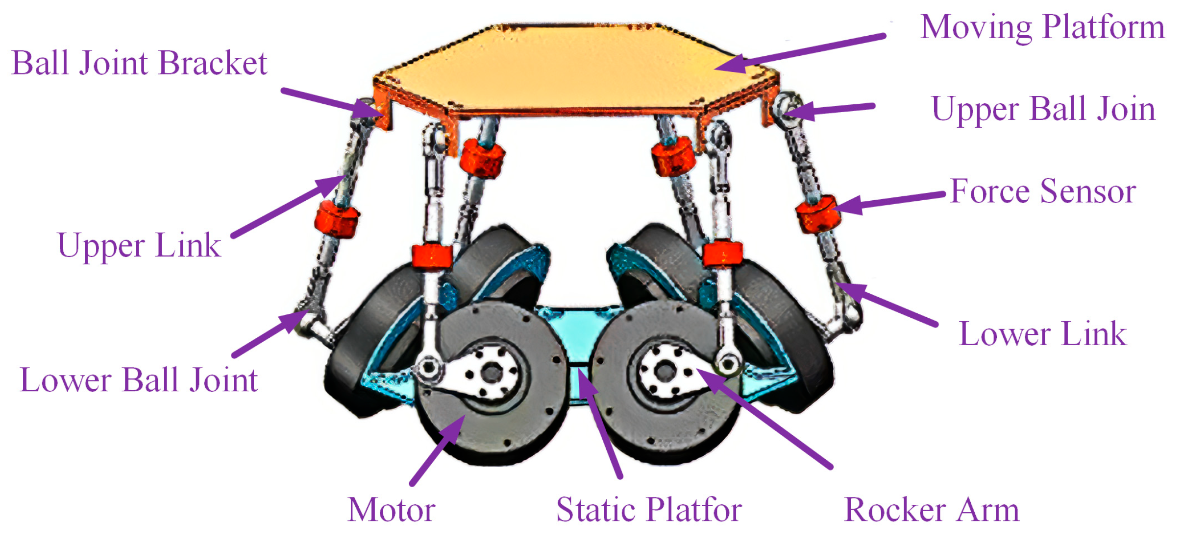 Biomimetics 10 00335 g001