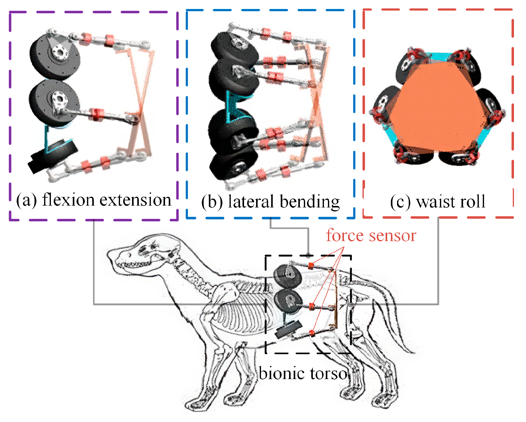 Biomimetics 10 00335 g002