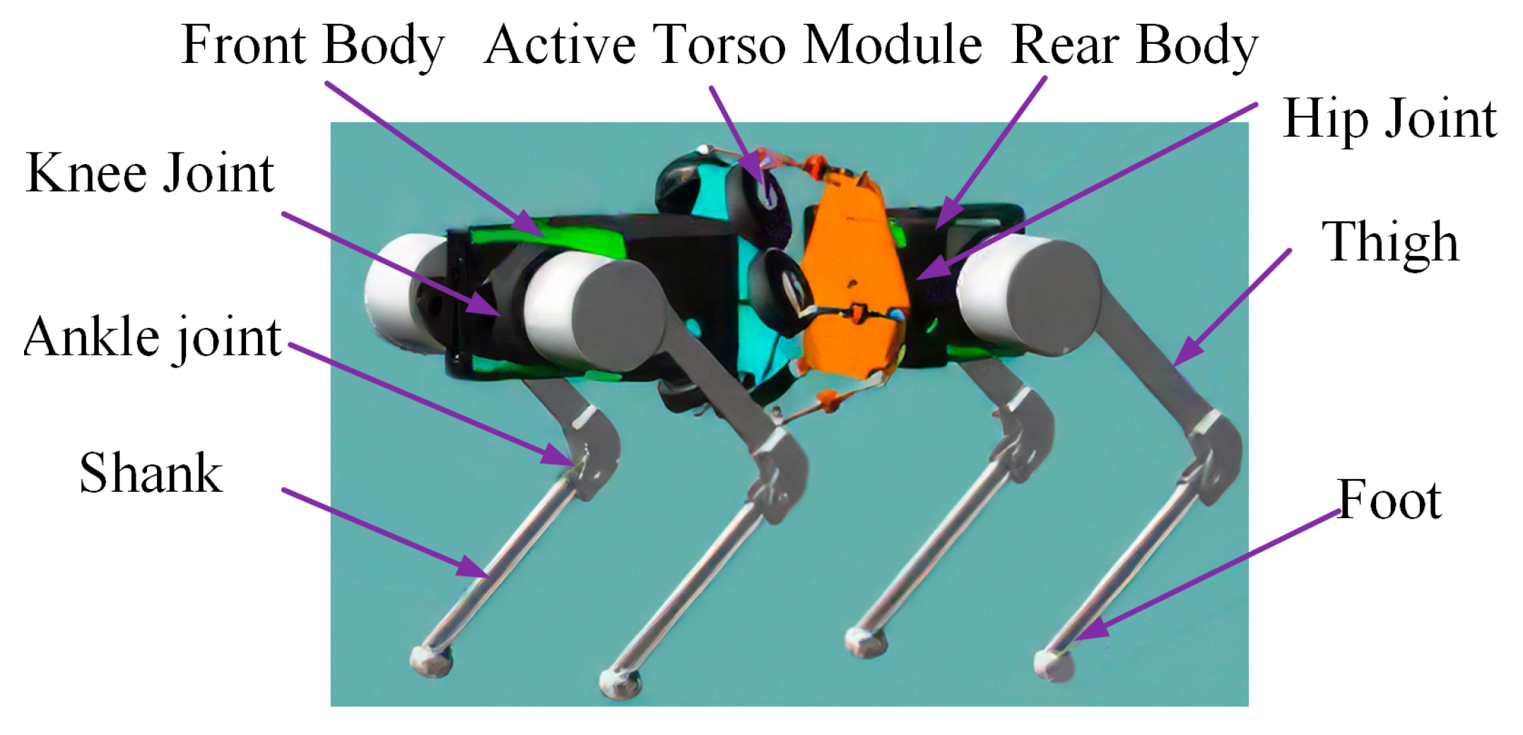 Biomimetics 10 00335 g004