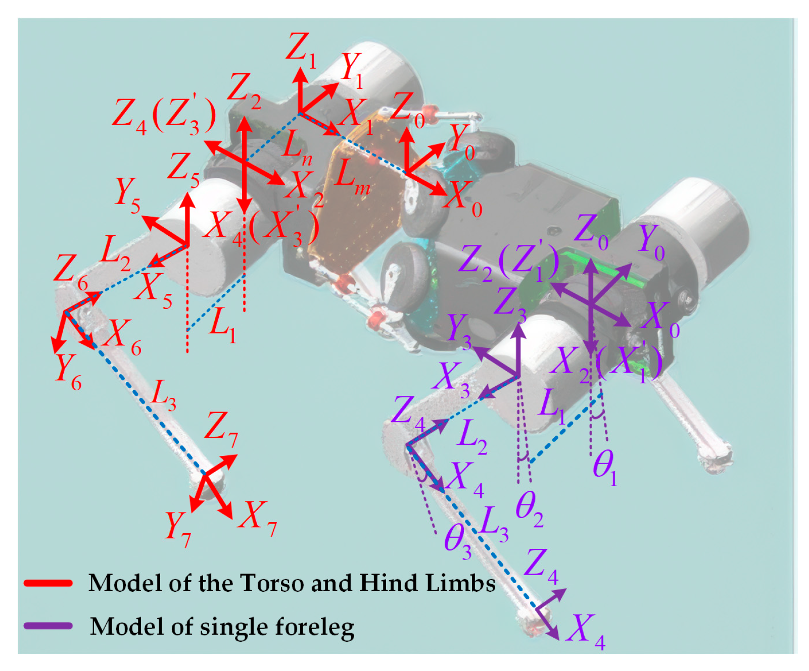 Biomimetics 10 00335 g005