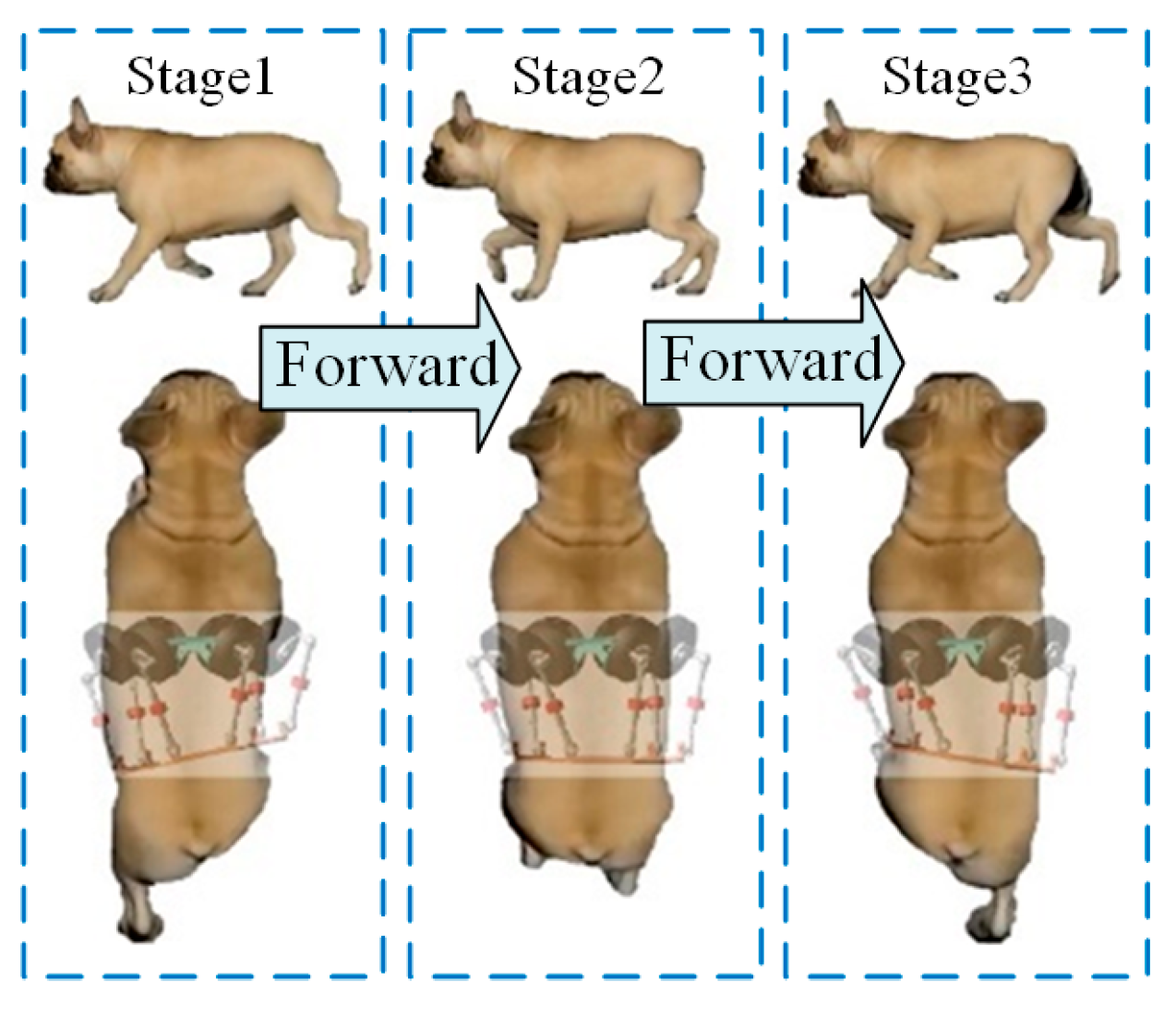 Biomimetics 10 00335 g009