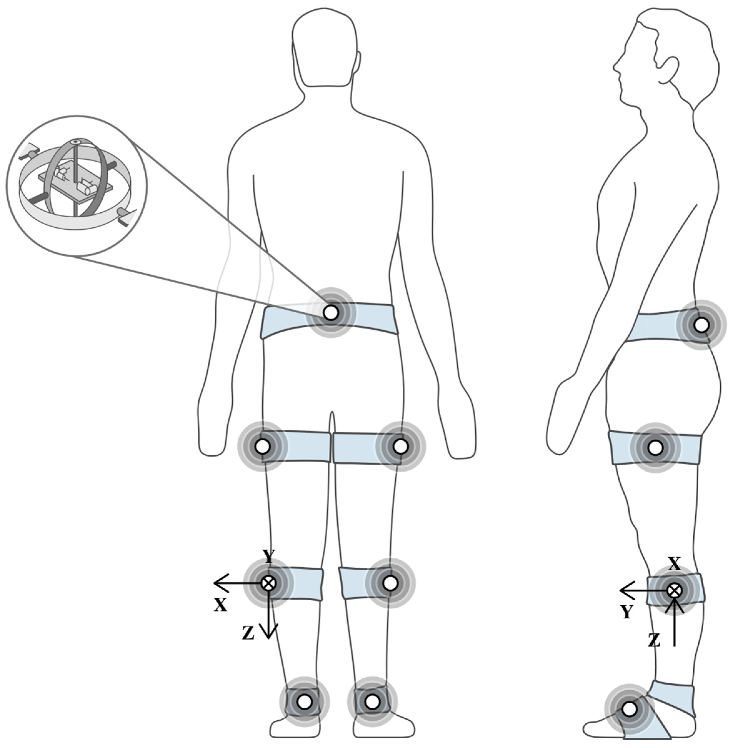 Biomimetics 10 00339 g005 Biomimetics 10 00339 g005