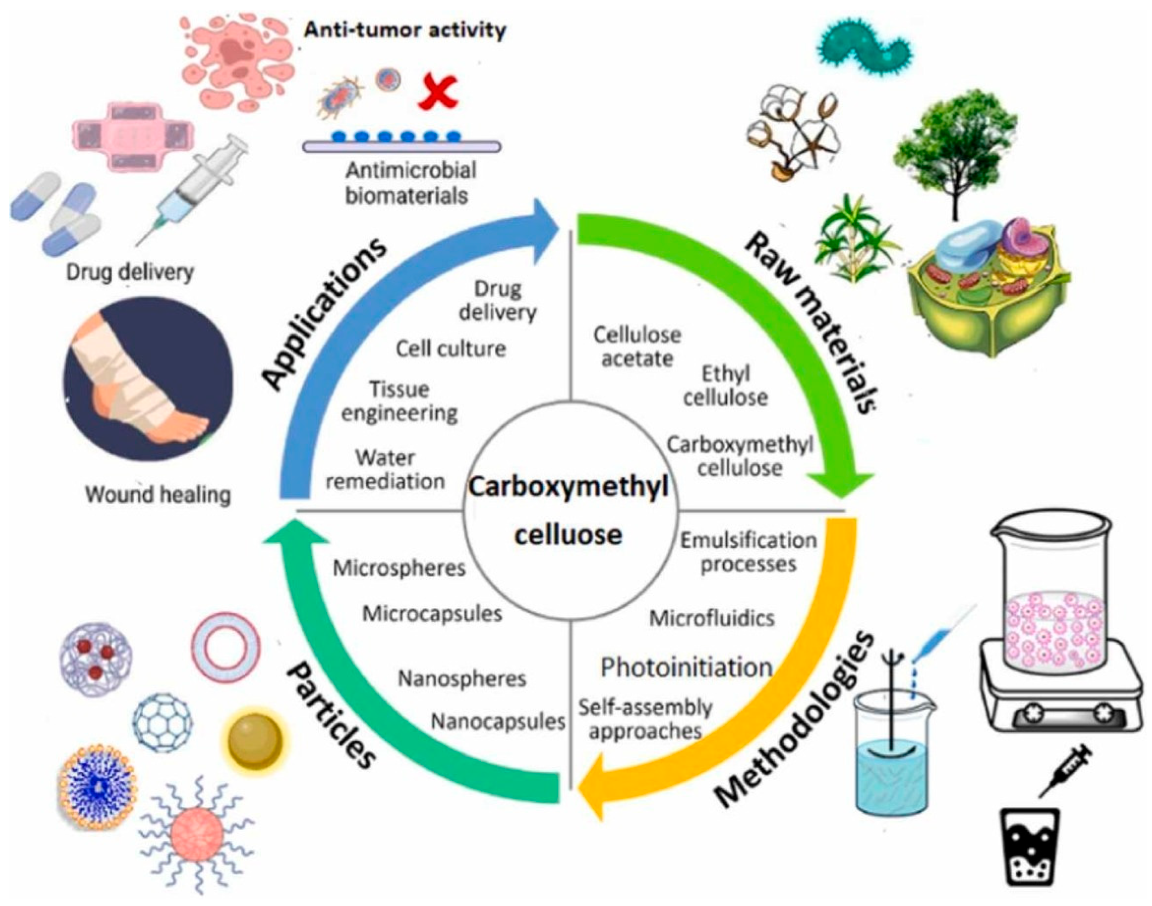 Biomimetics 10 00344 g001