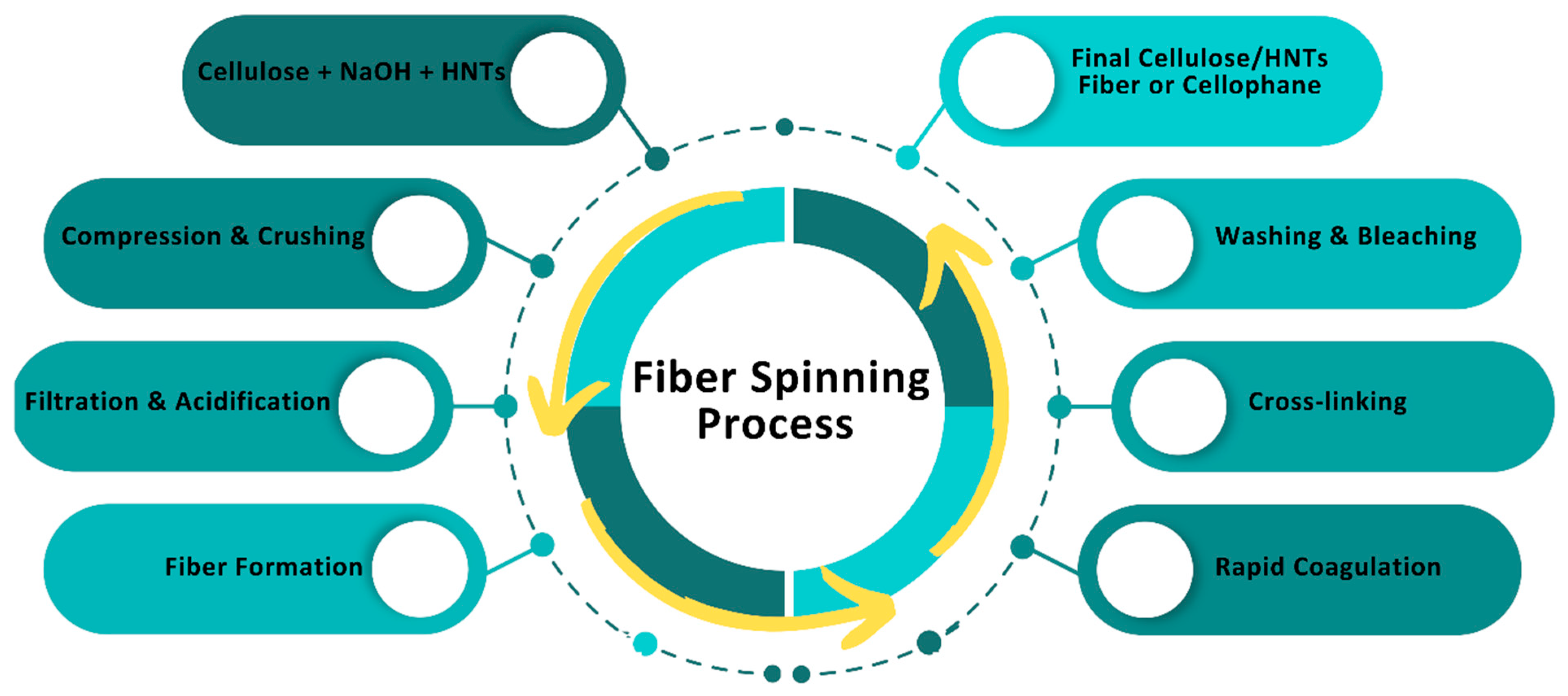 Biomimetics 10 00344 g002