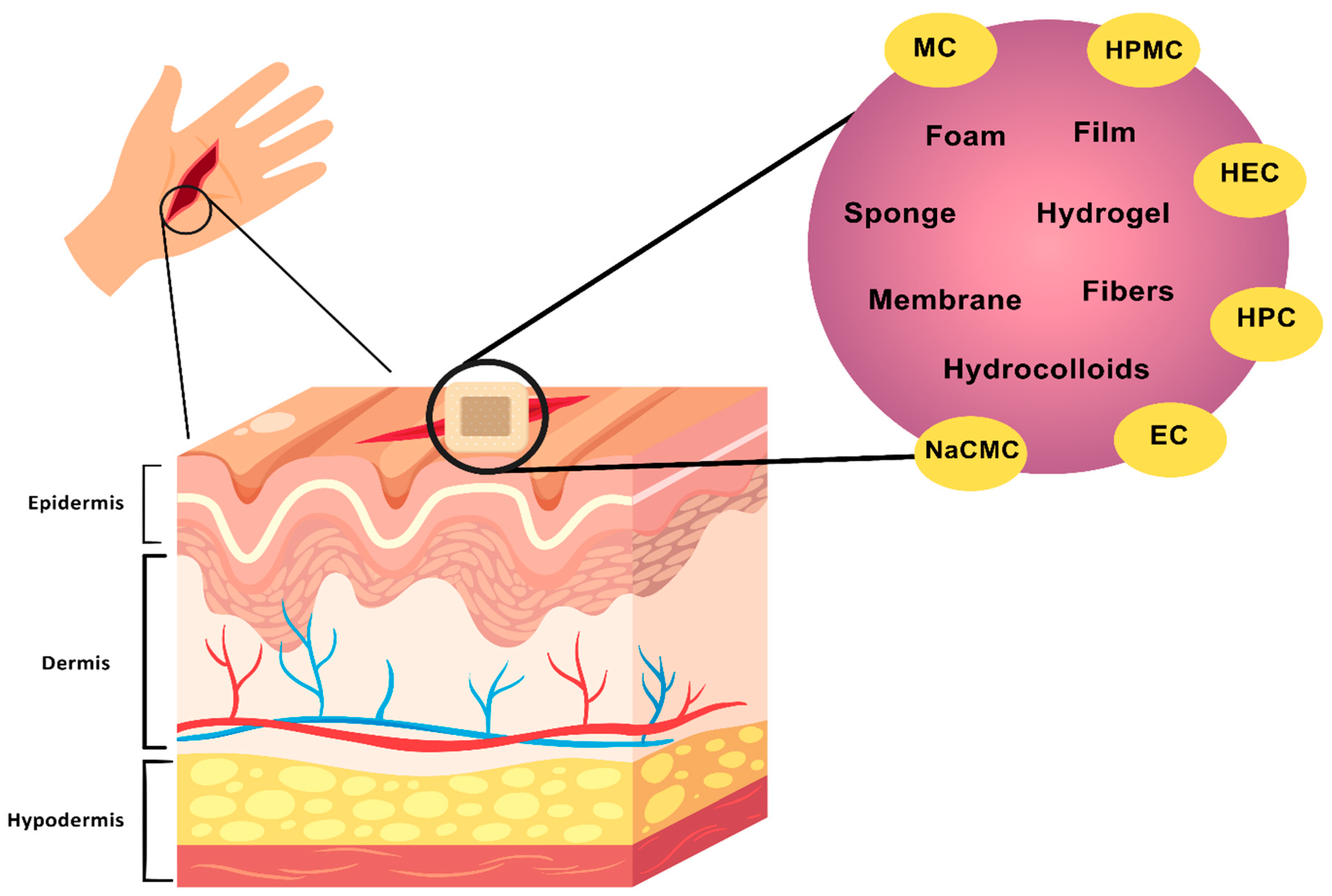 Biomimetics 10 00344 g004