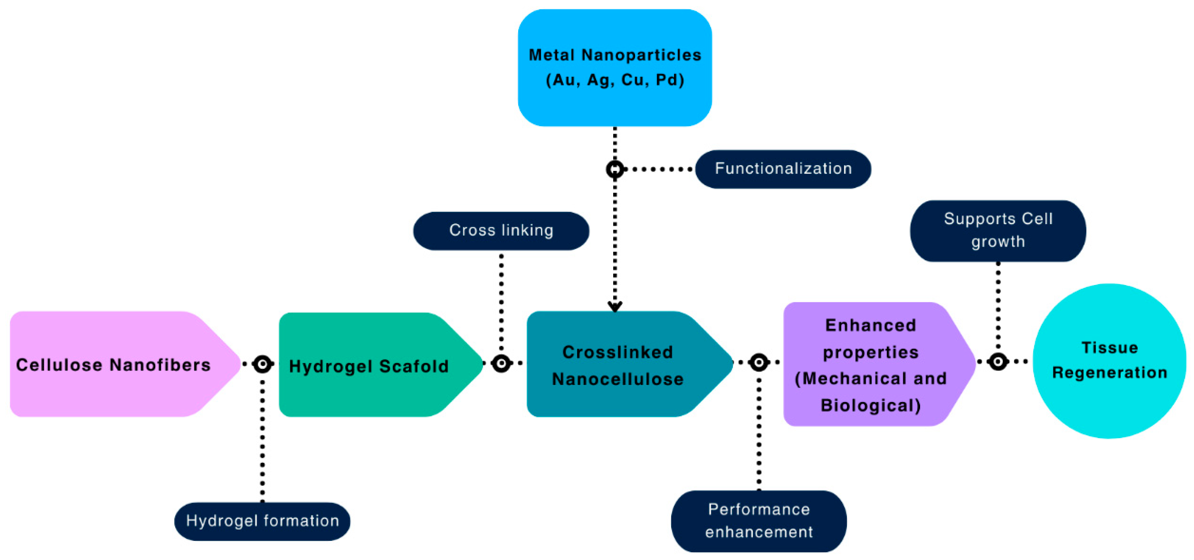 Biomimetics 10 00344 g005