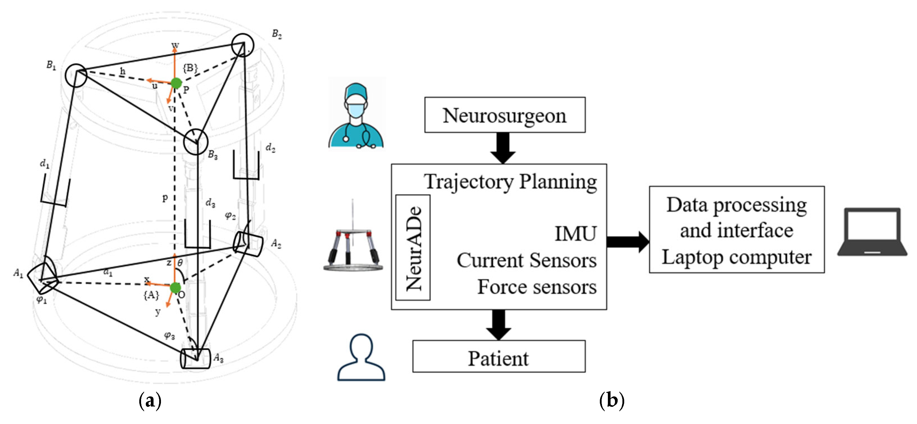 Biomimetics 10 00345 g003